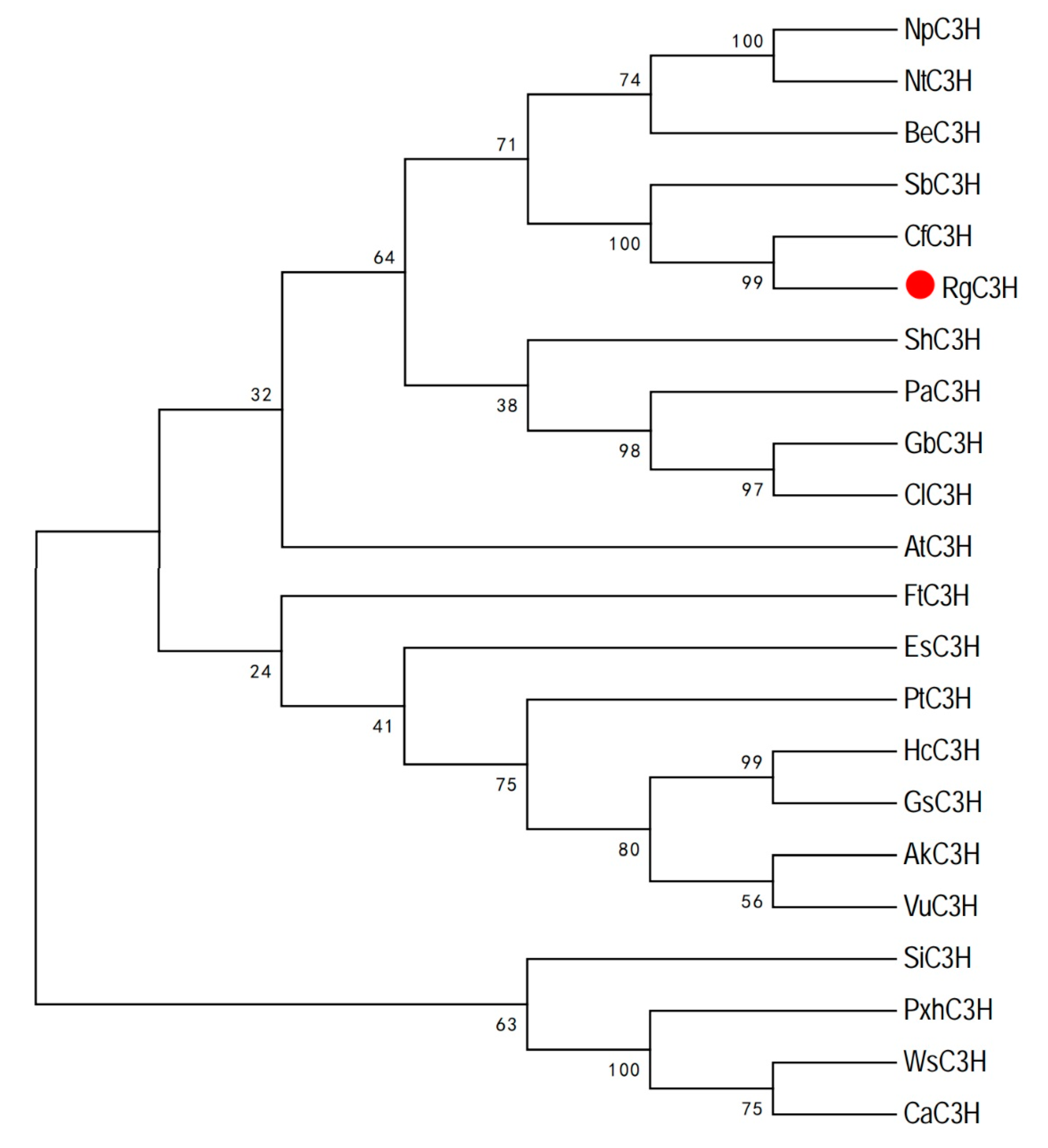 Plants 09 00567 g002