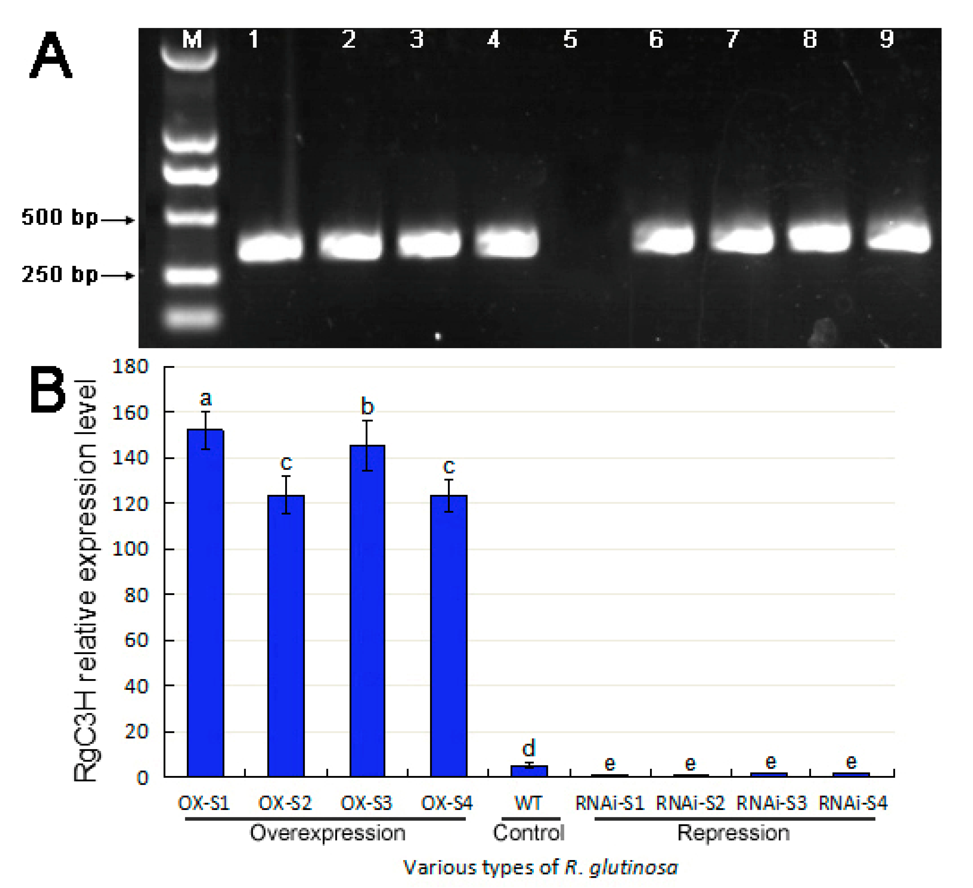 Plants 09 00567 g004