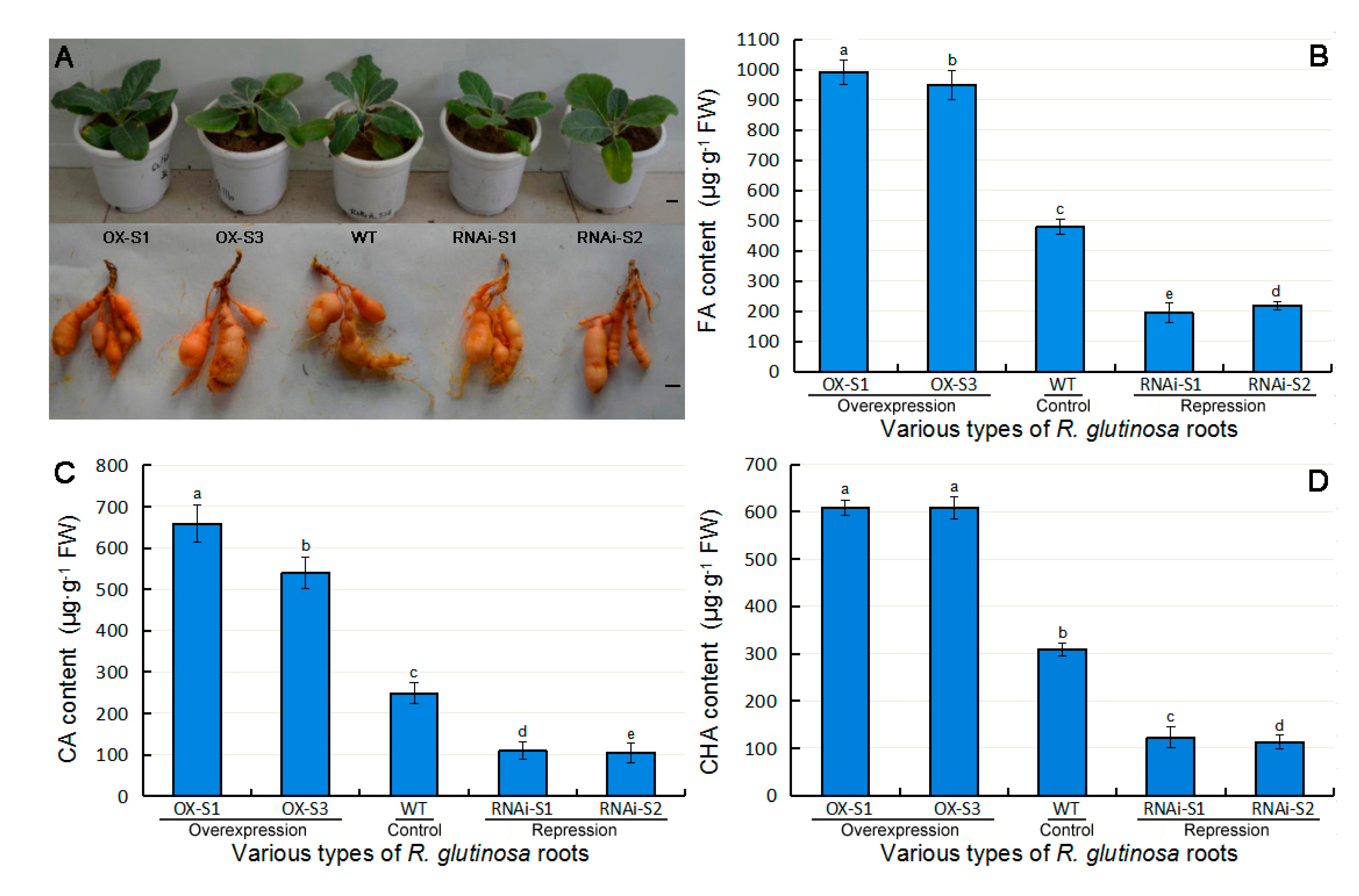 Plants 09 00567 g005