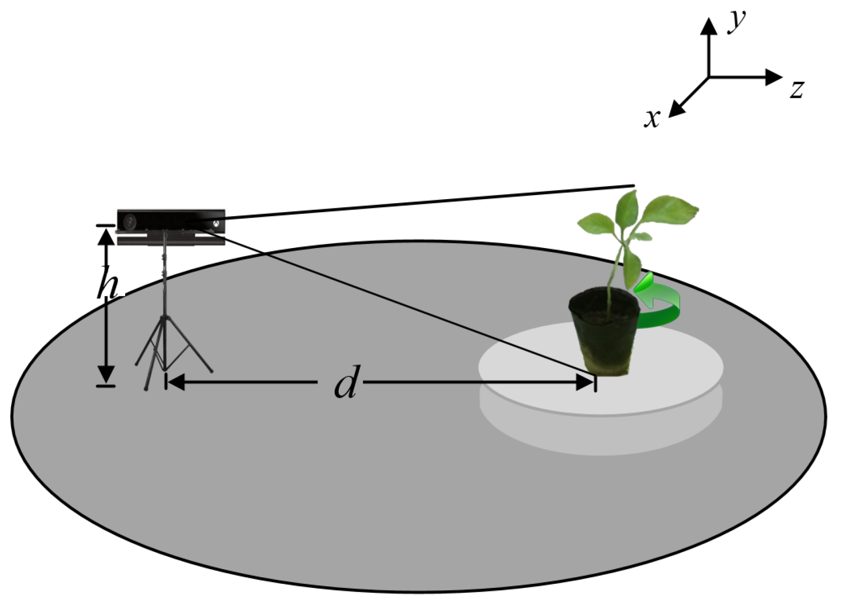 Plants 09 00571 g002 Plants 09 00571 g002