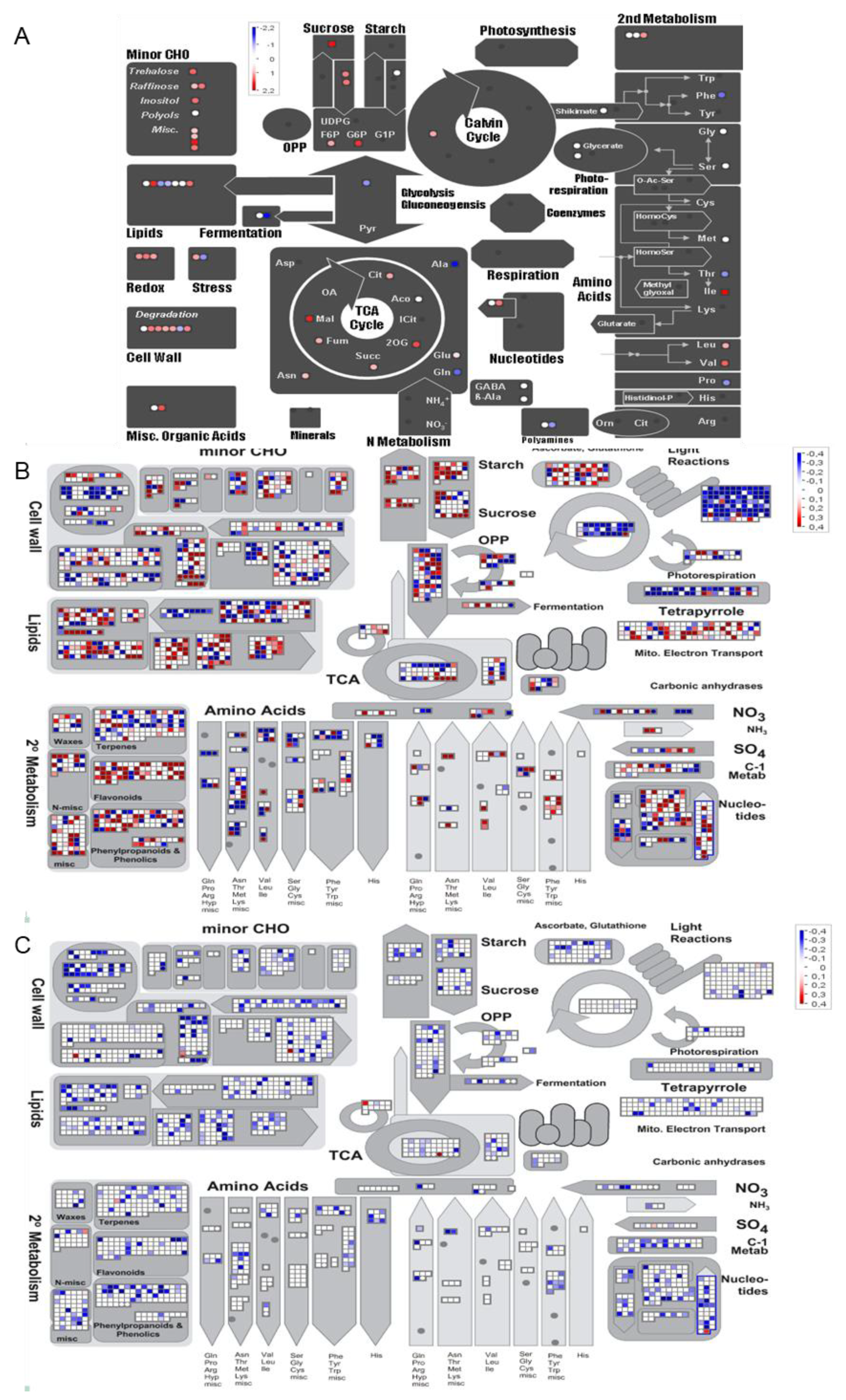 Plants 09 00573 g004