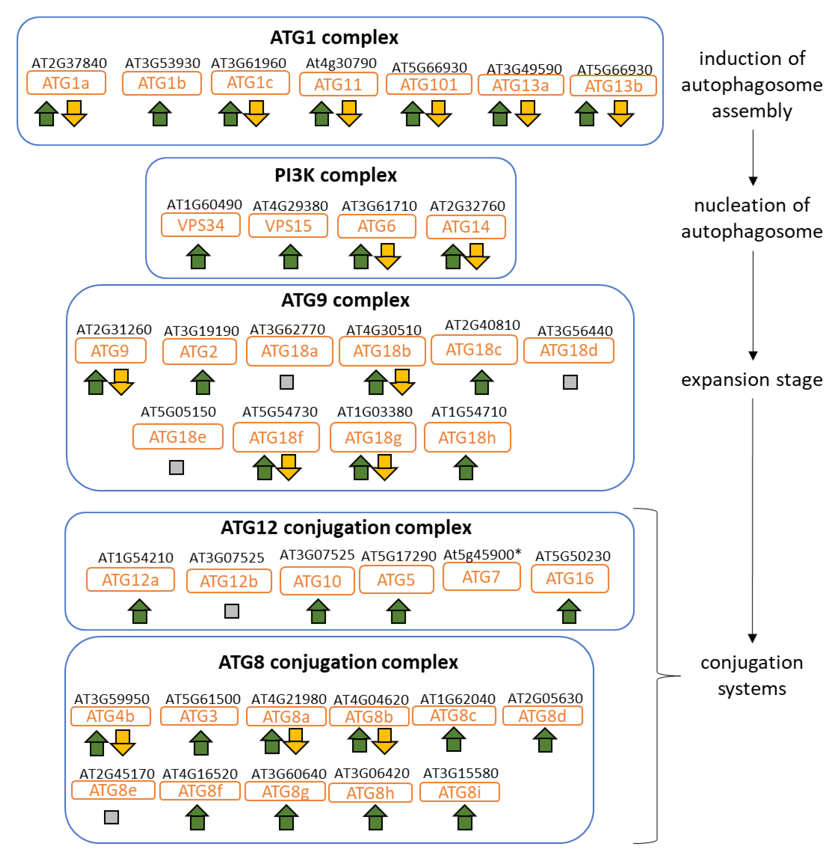 Plants 09 00573 g005