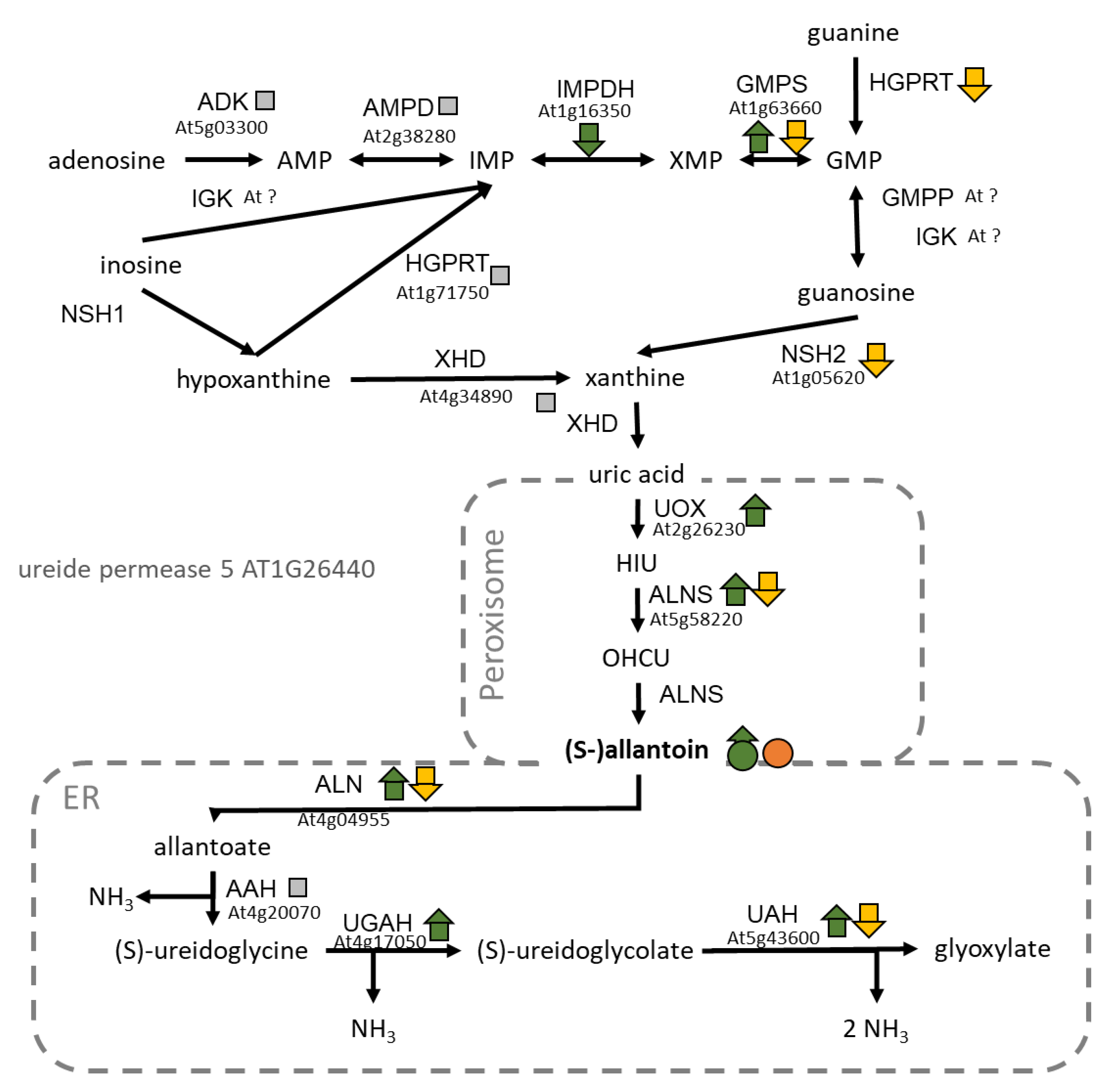 Plants 09 00573 g006