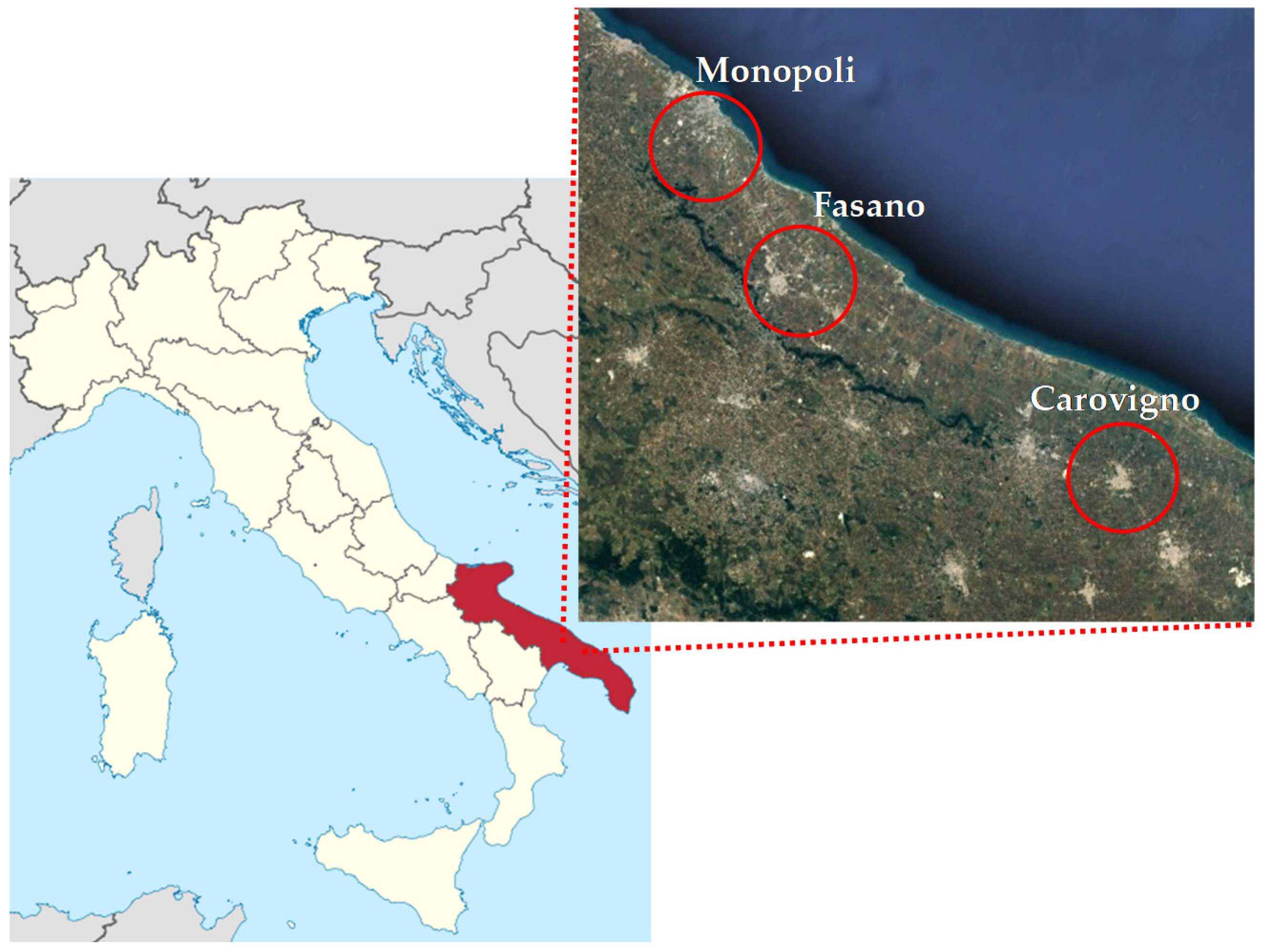 Plants 09 00578 g003