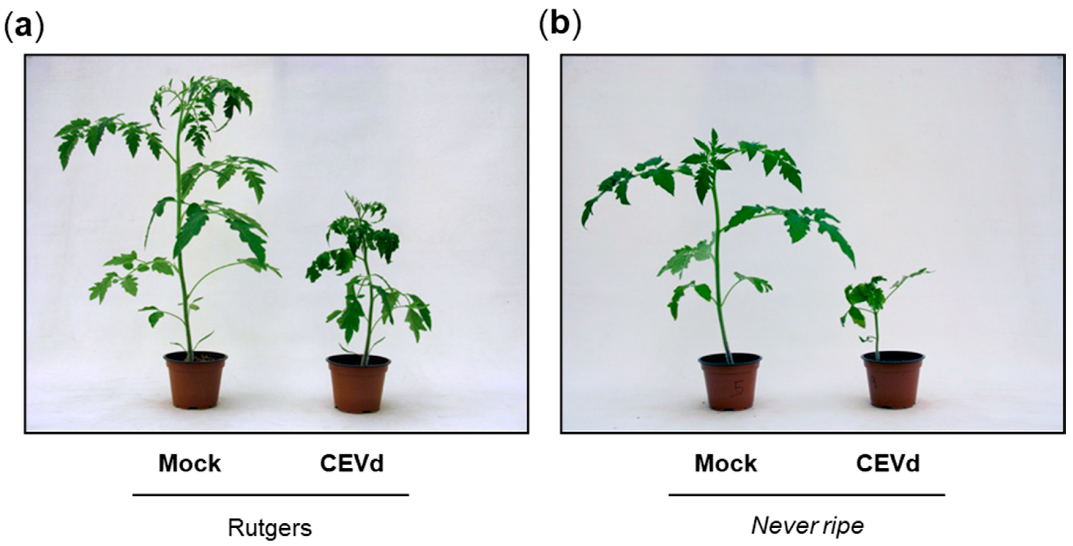 Plants 09 00582 g001 Plants 09 00582 g001