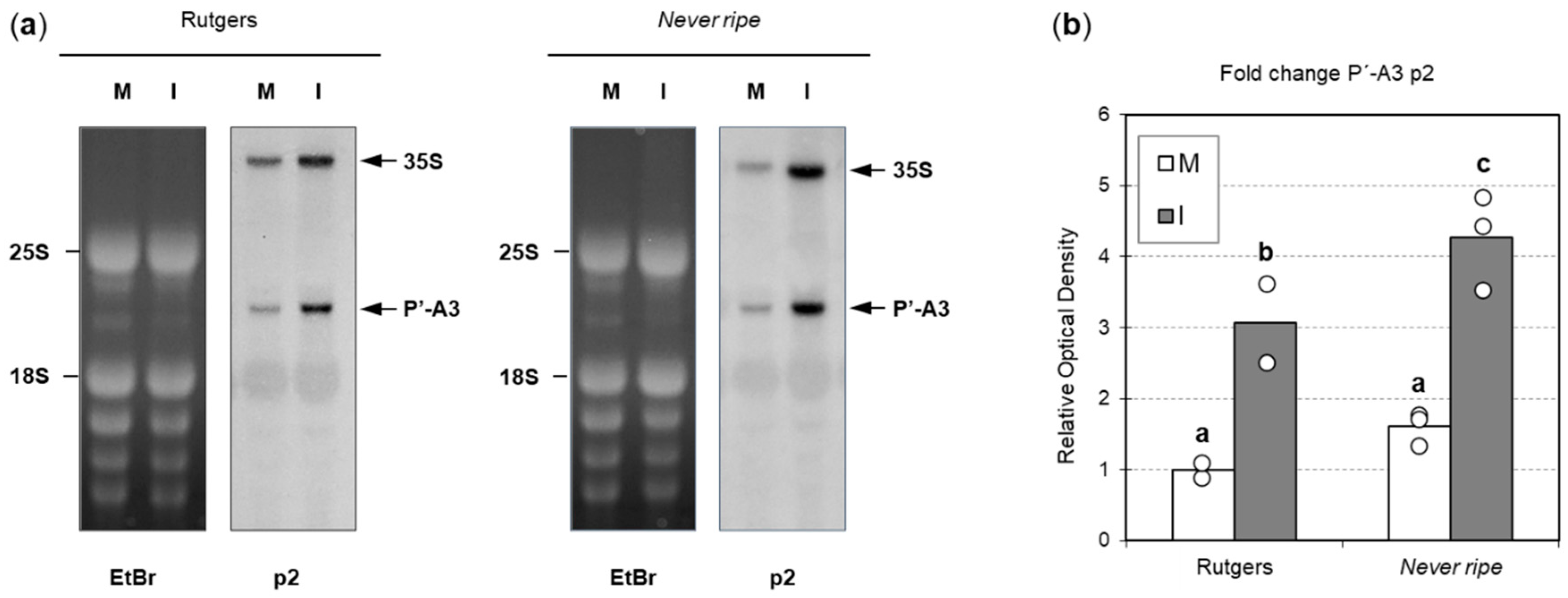 Plants 09 00582 g009 Plants 09 00582 g009