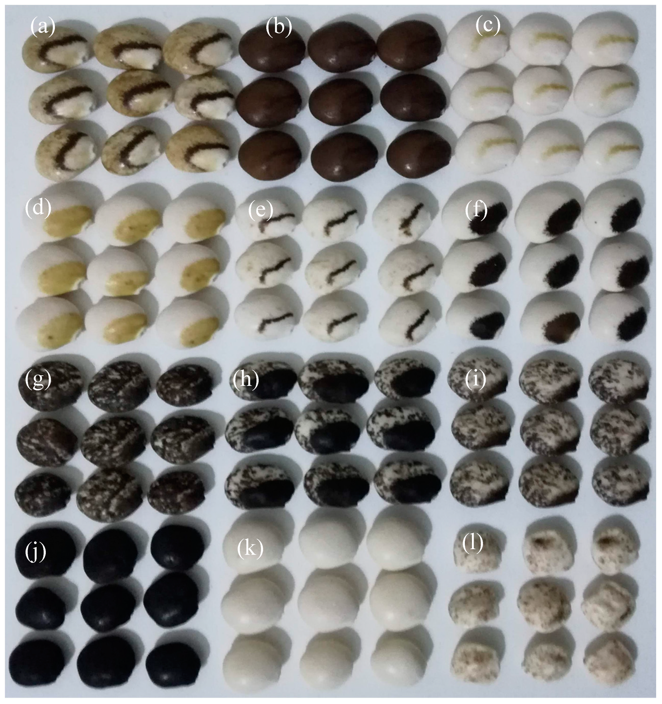 Plants 09 00583 g002