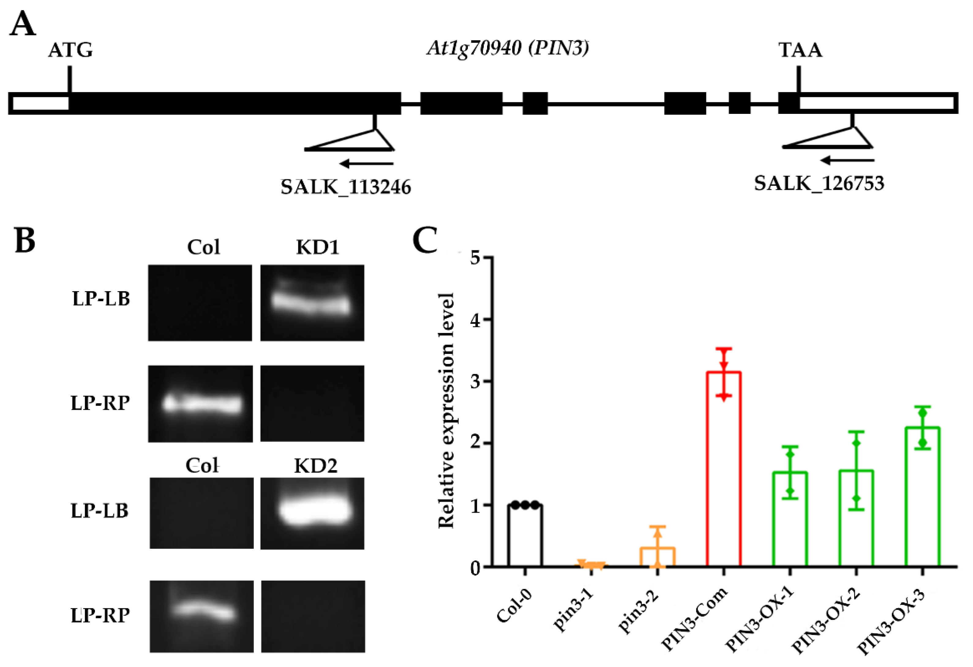 Plants 09 00585 g003 Plants 09 00585 g003