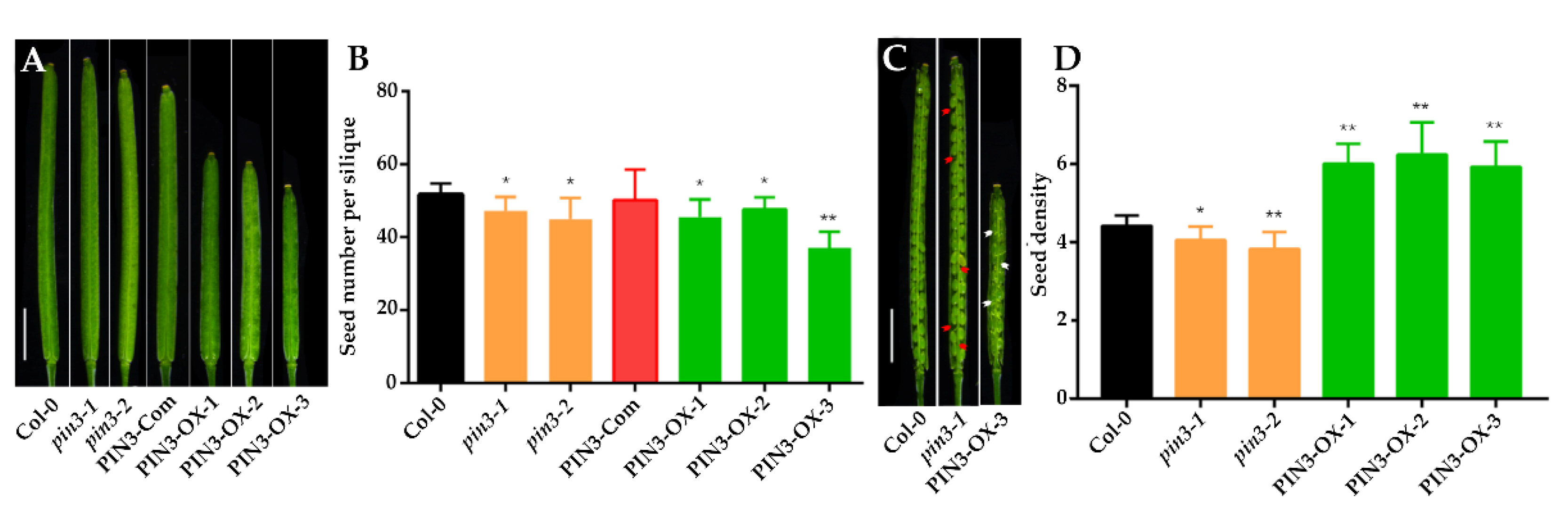 Plants 09 00585 g004 Plants 09 00585 g004