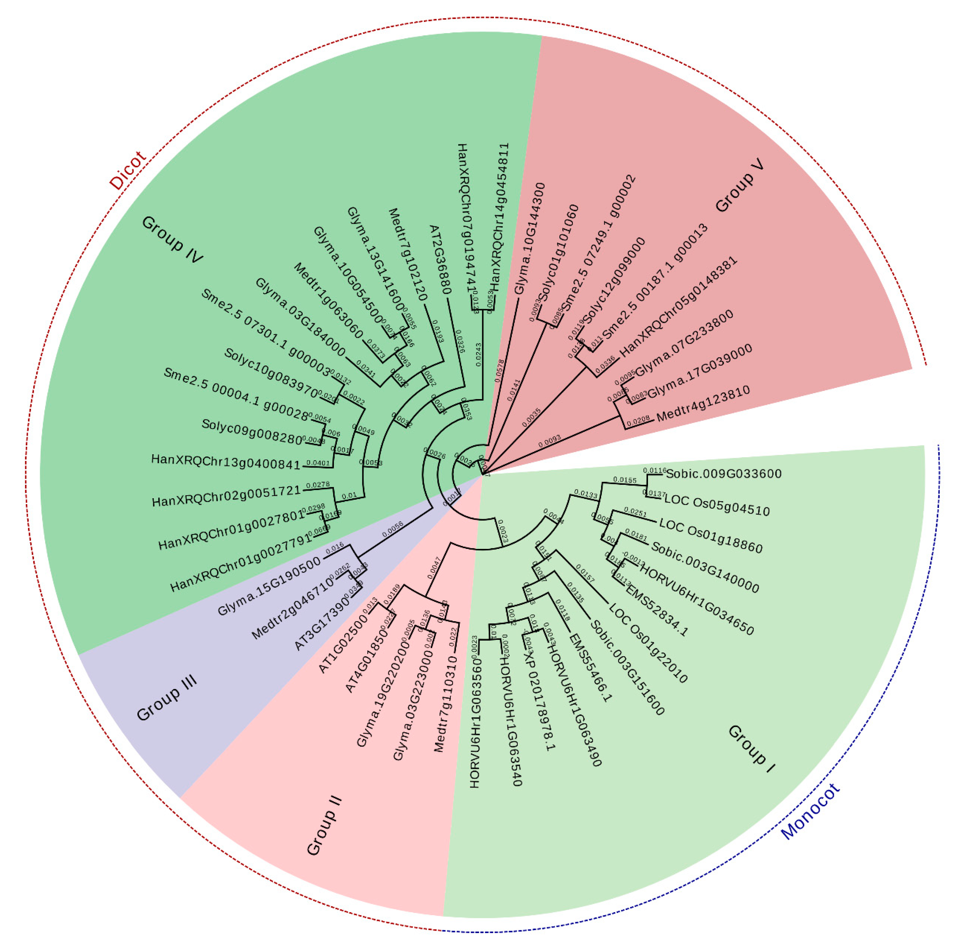 Plants 09 00586 g002 Plants 09 00586 g002