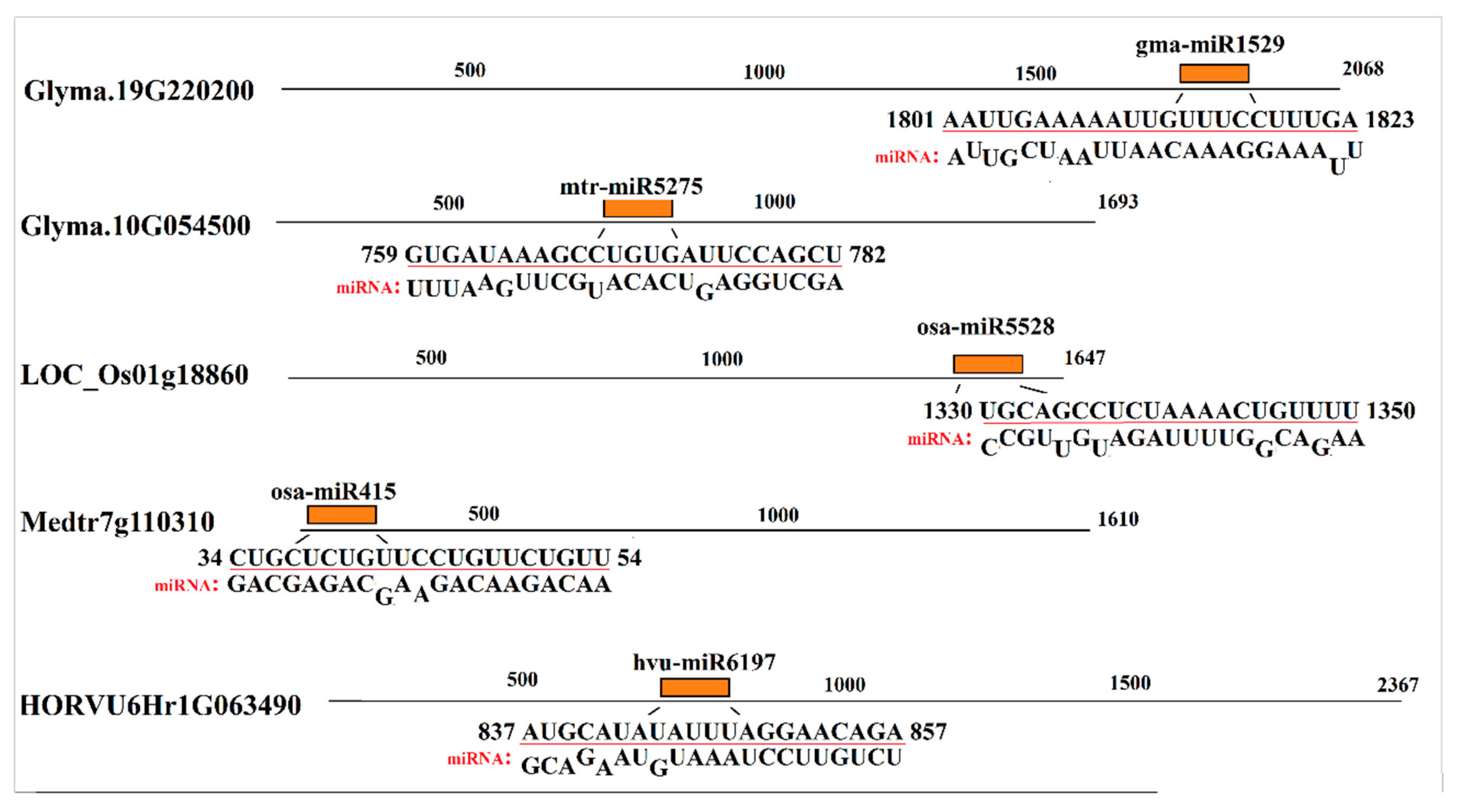 Plants 09 00586 g006 Plants 09 00586 g006