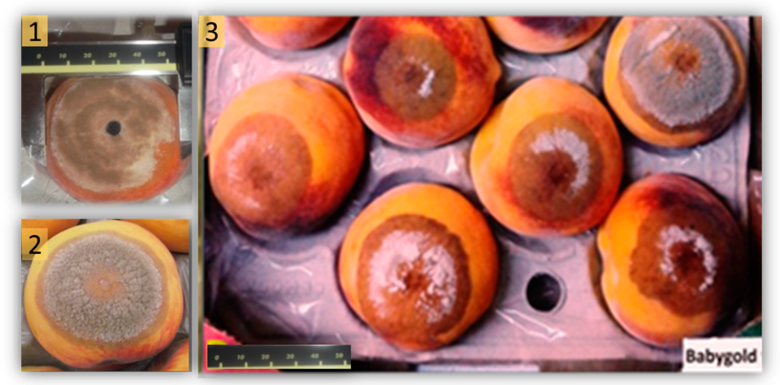 Plants 09 00589 g002 Plants 09 00589 g002