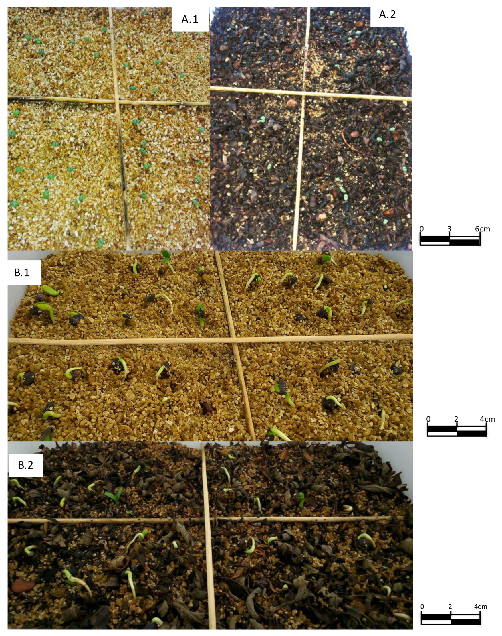 Plants 09 00593 g002 Plants 09 00593 g002