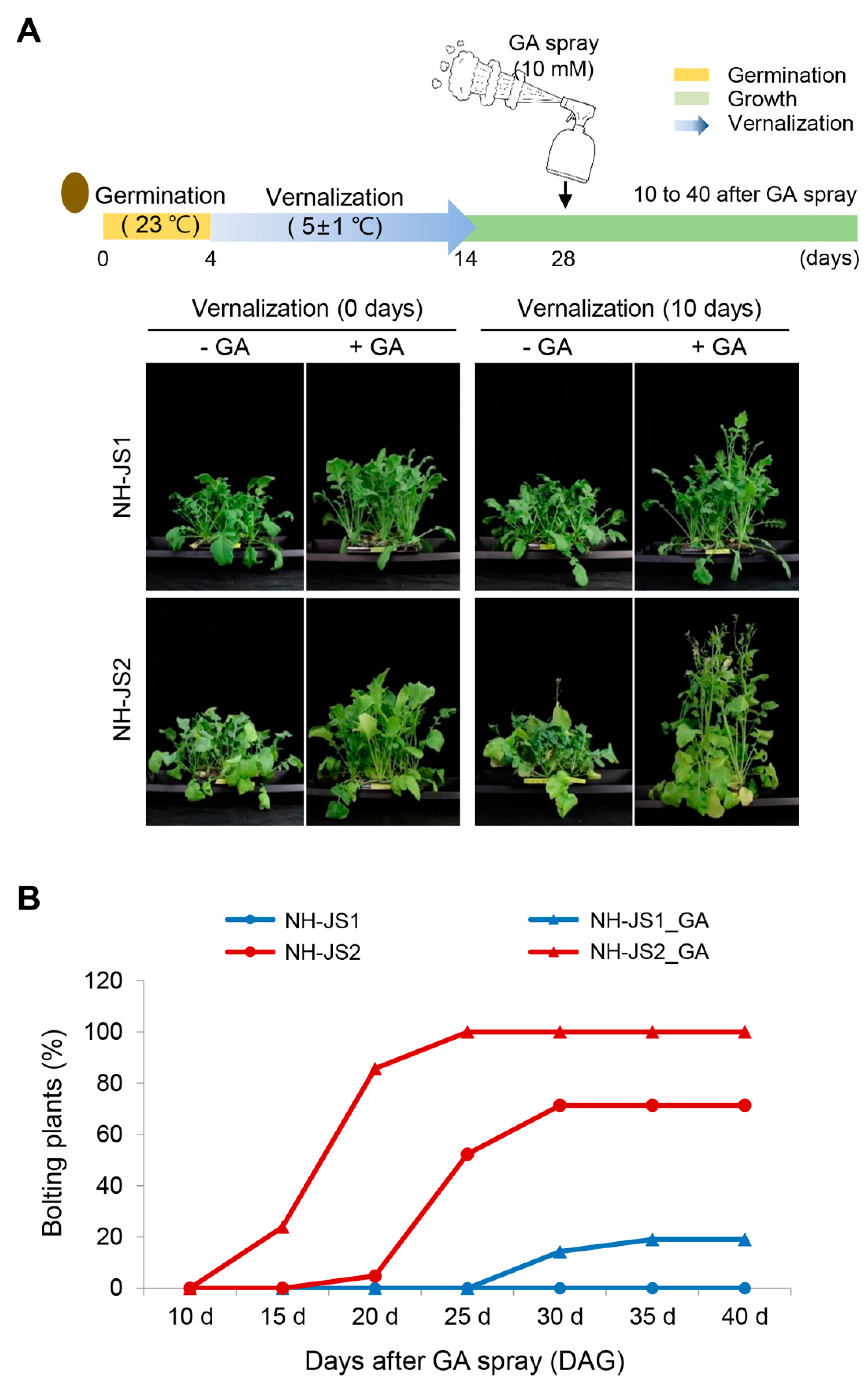 Plants 09 00594 g003 Plants 09 00594 g003