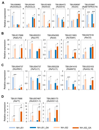 Images Ylkcsu0boz25xm par