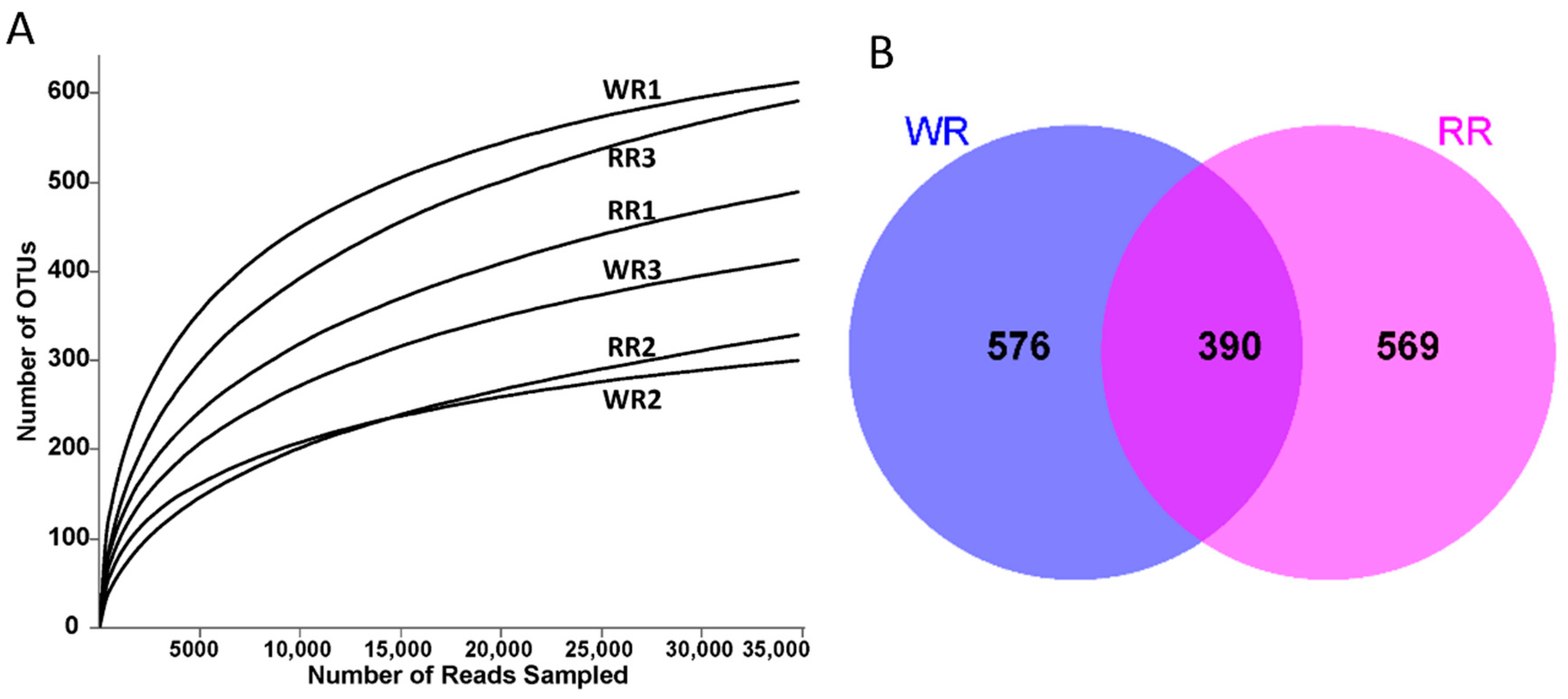 Plants 09 00600 g001 Plants 09 00600 g001