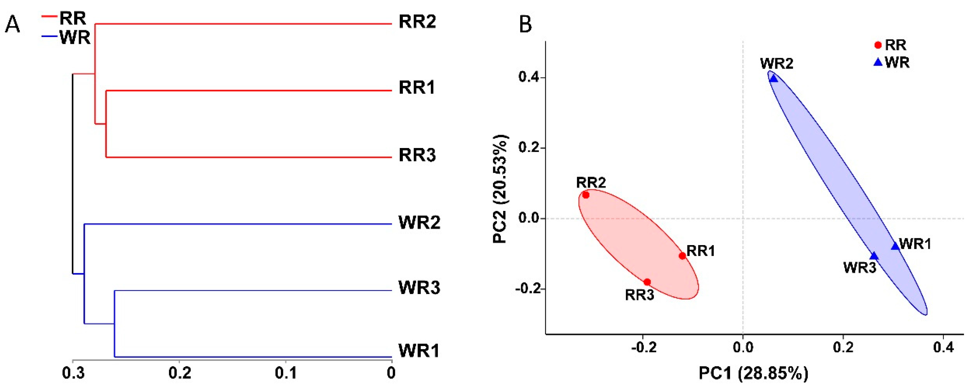 Plants 09 00600 g003 Plants 09 00600 g003
