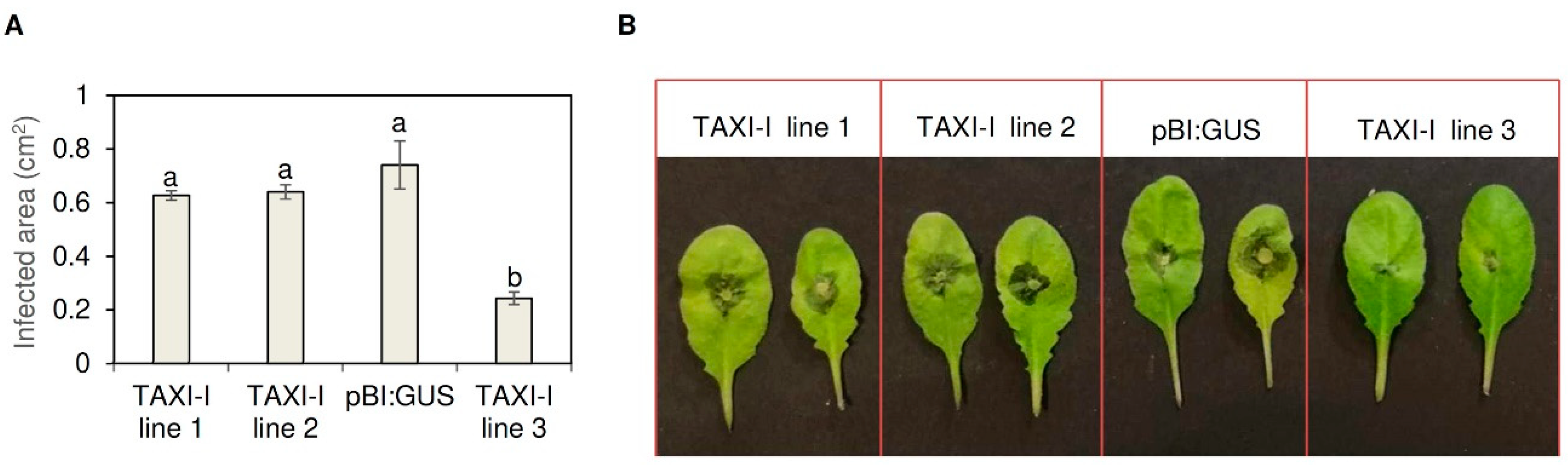Plants 09 00601 g003 Plants 09 00601 g003