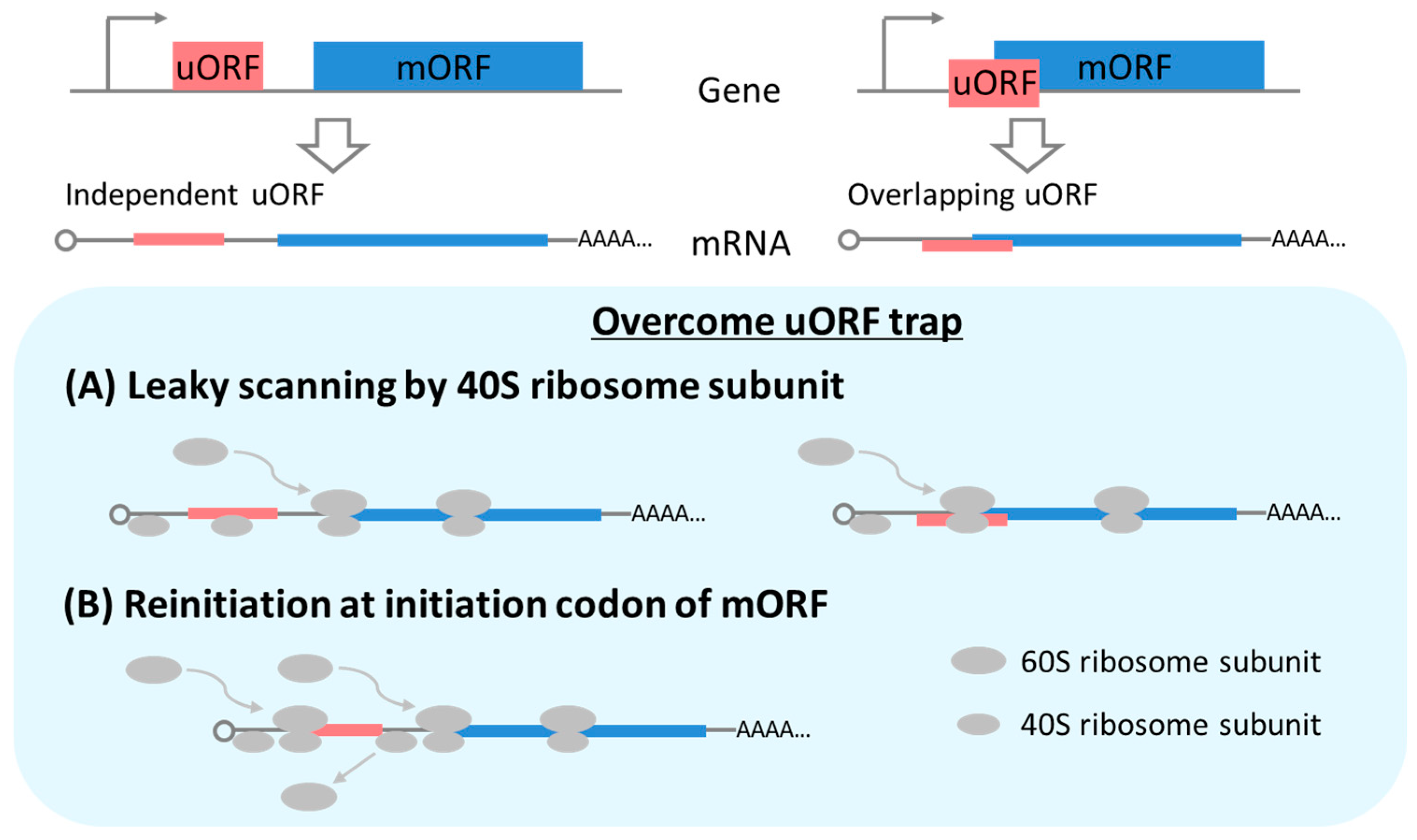 Plants 09 00608 g002