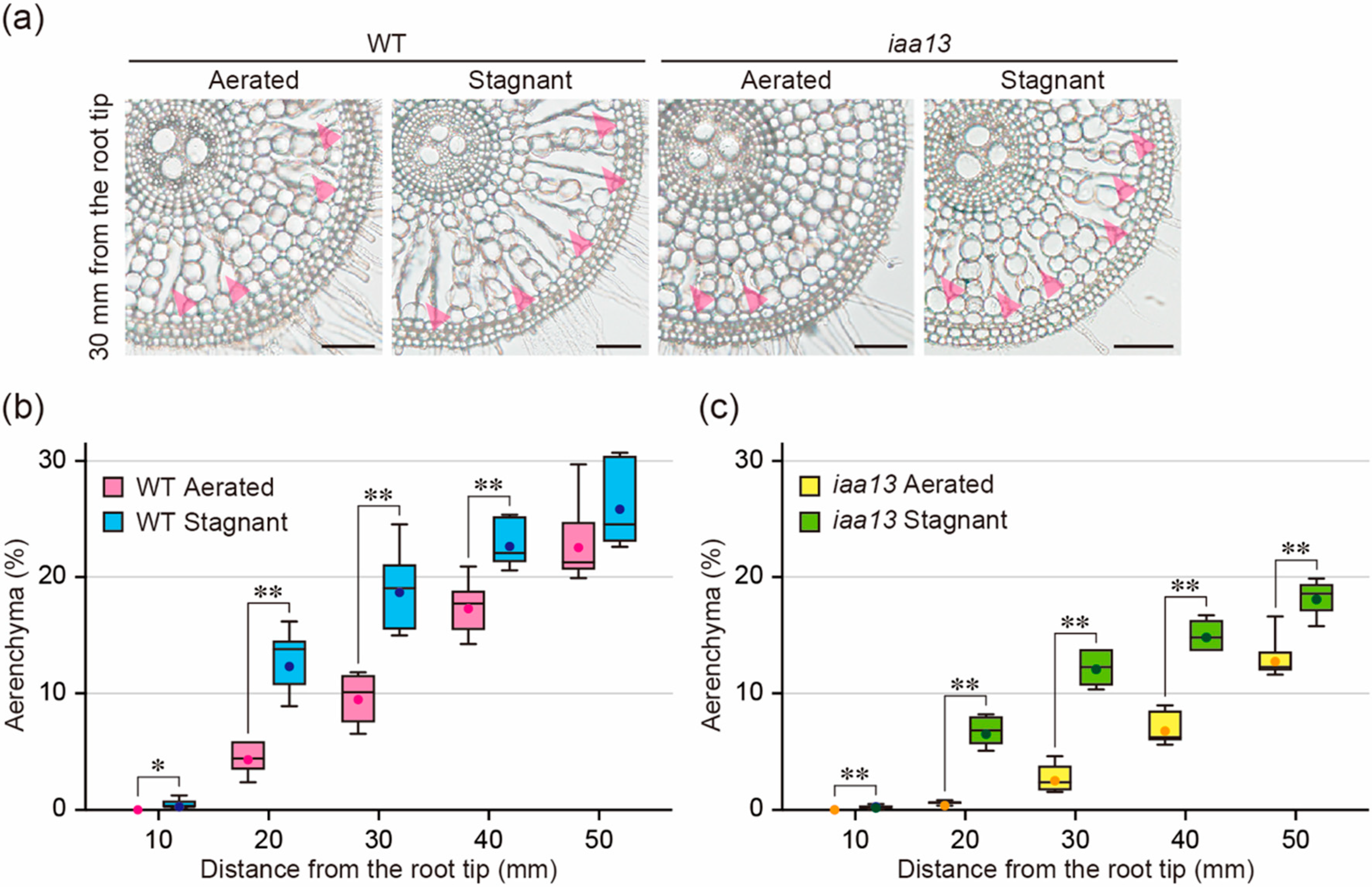 Plants 09 00610 g001