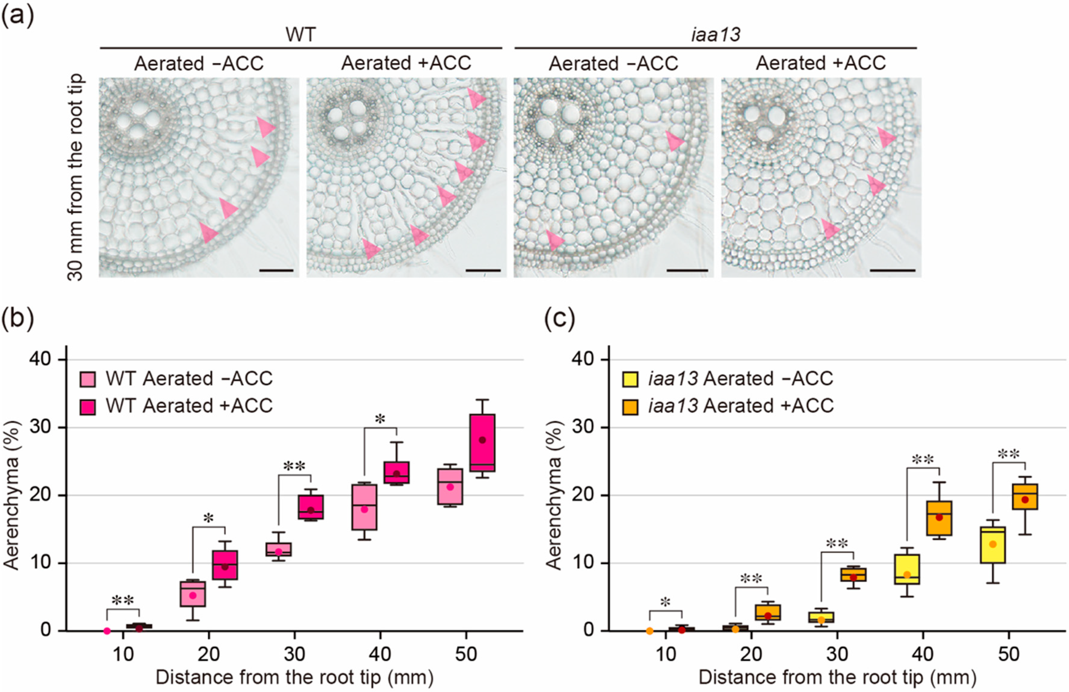 Plants 09 00610 g002