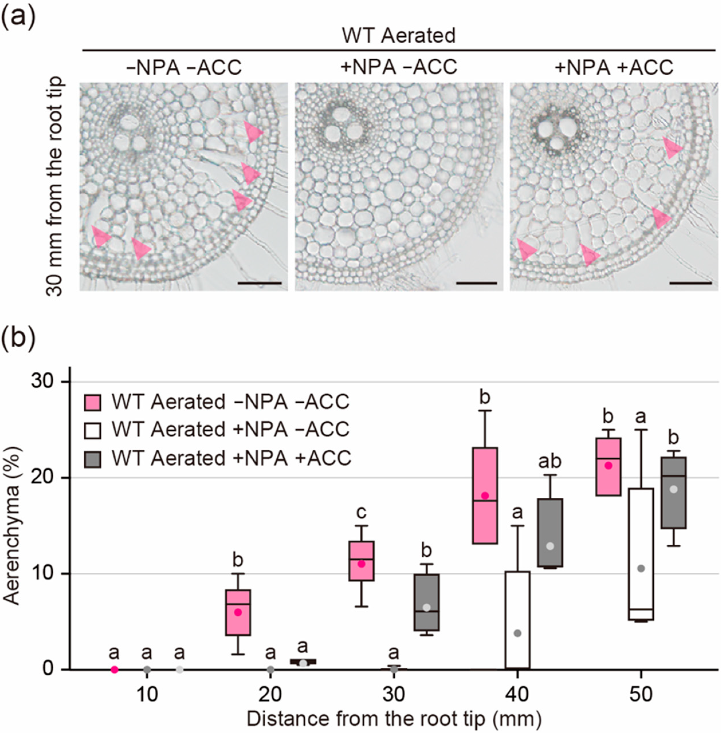 Plants 09 00610 g006