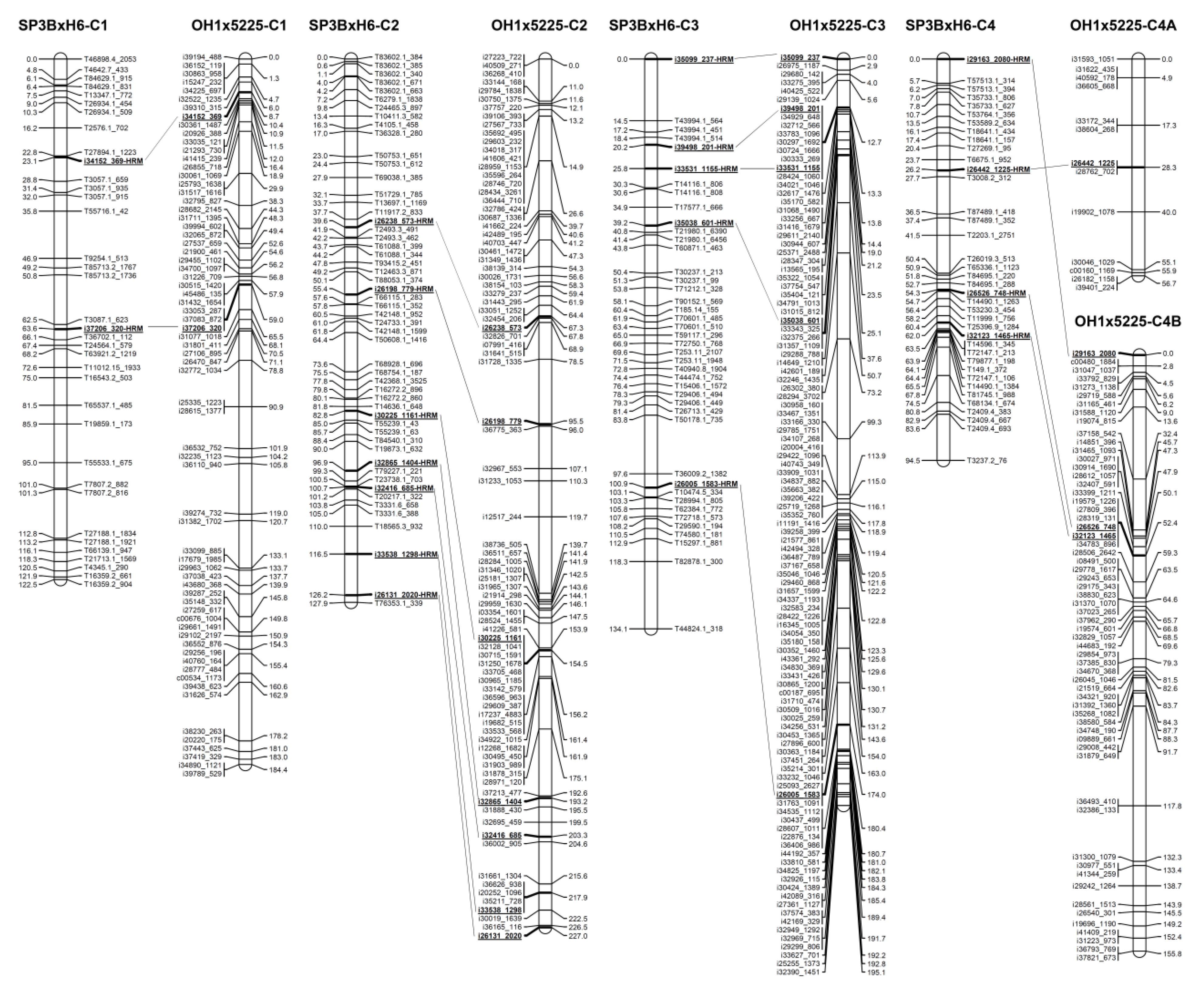 Plants 09 00616 g002a Plants 09 00616 g002a