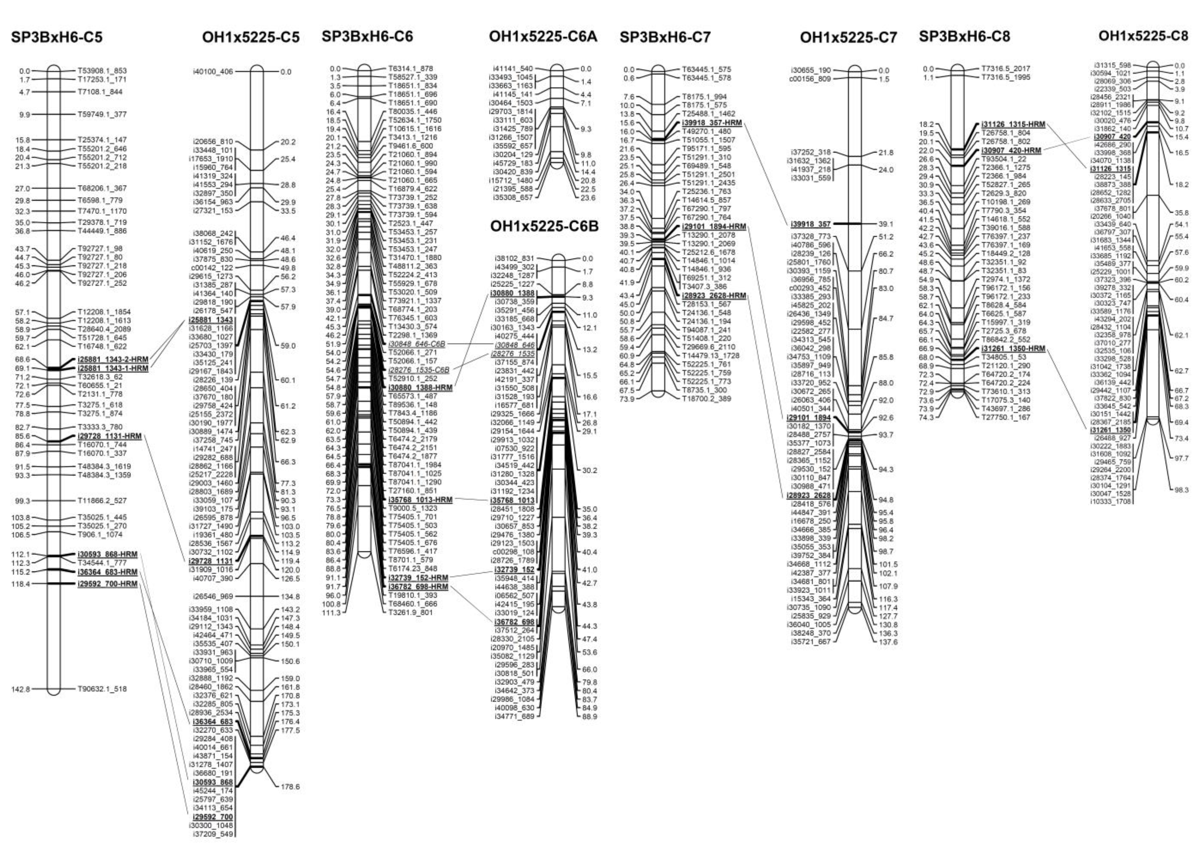 Plants 09 00616 g002b Plants 09 00616 g002b