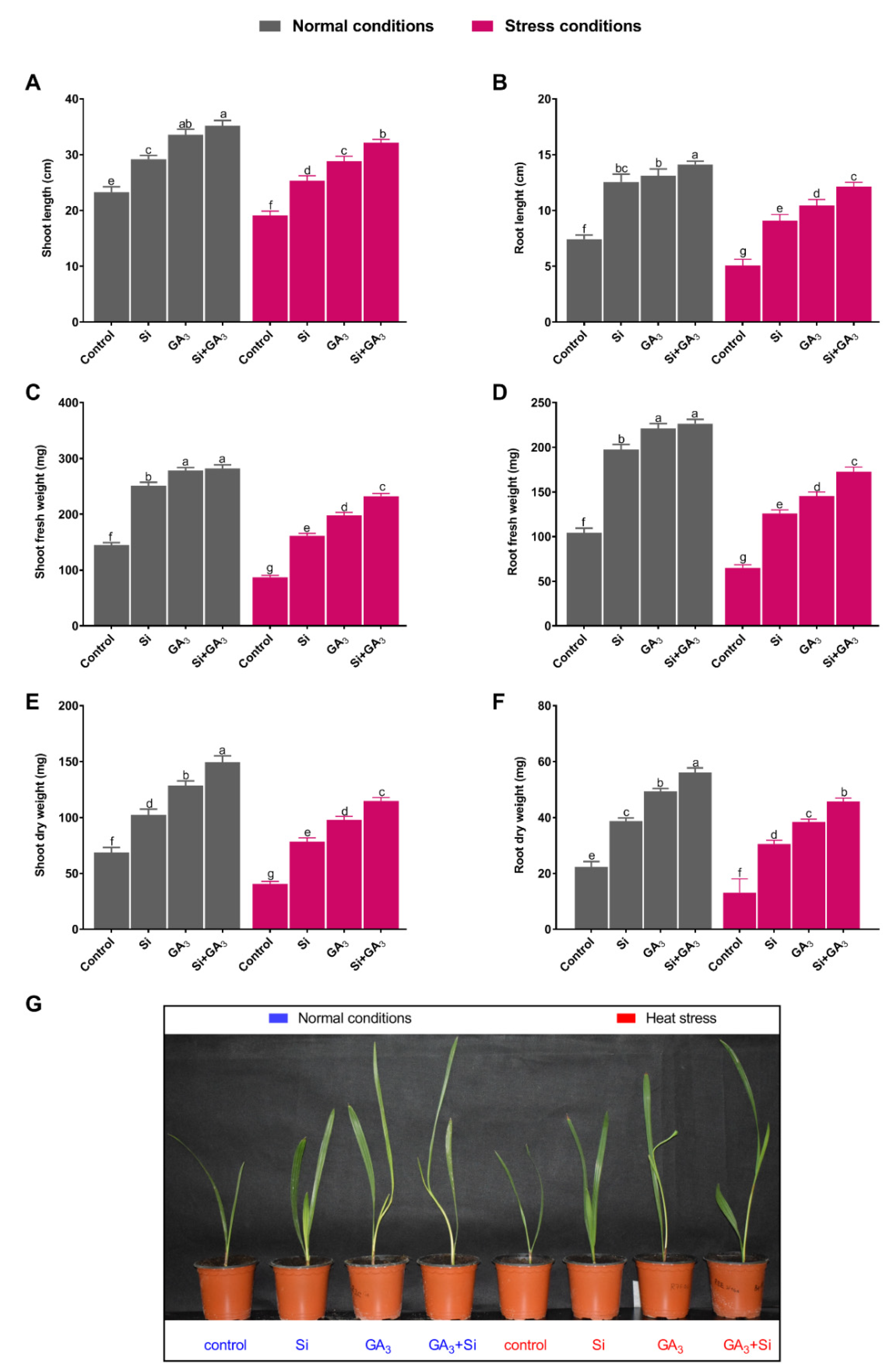 Plants 09 00620 g001 Plants 09 00620 g001
