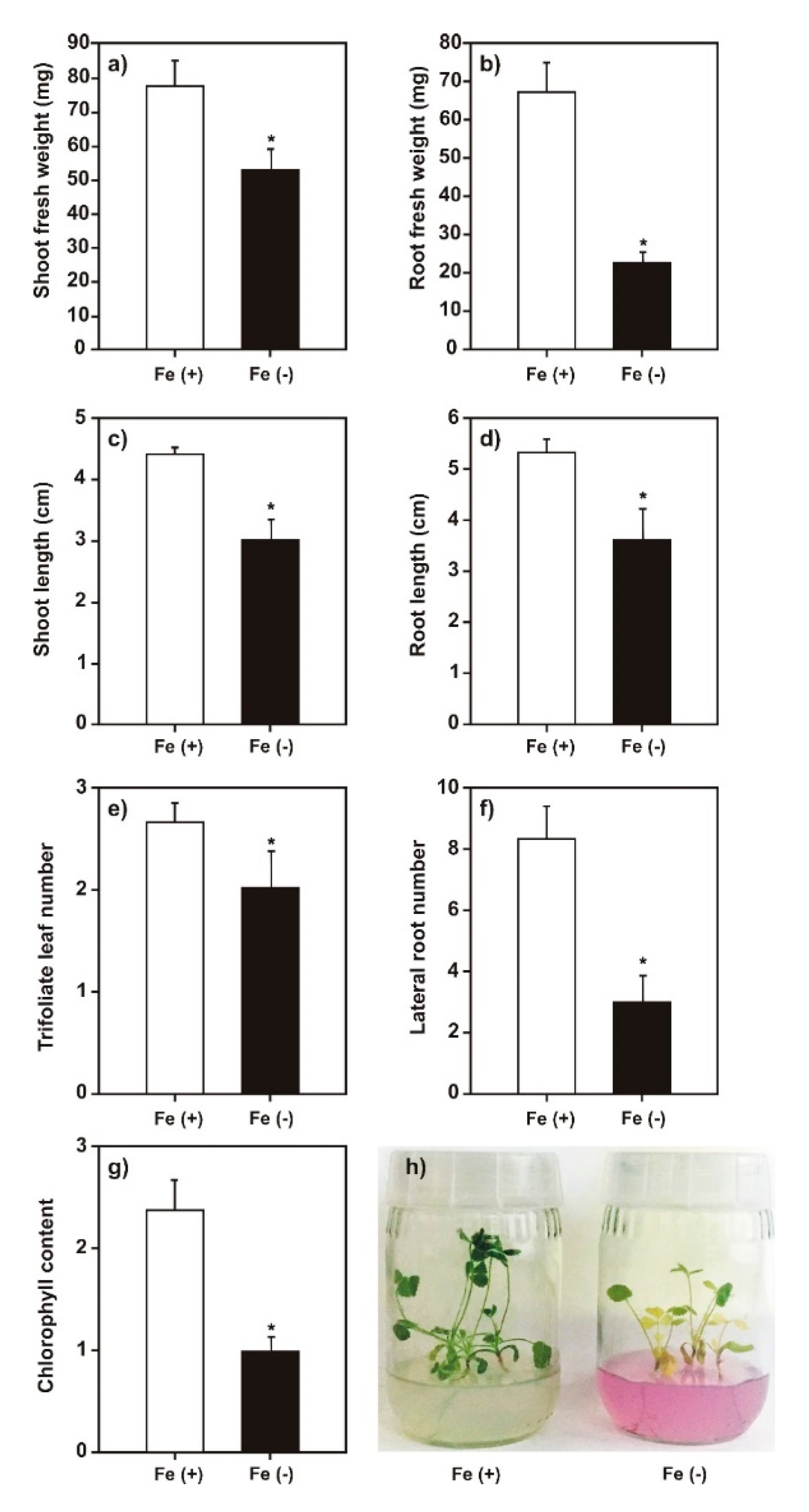 Plants 09 00624 g001