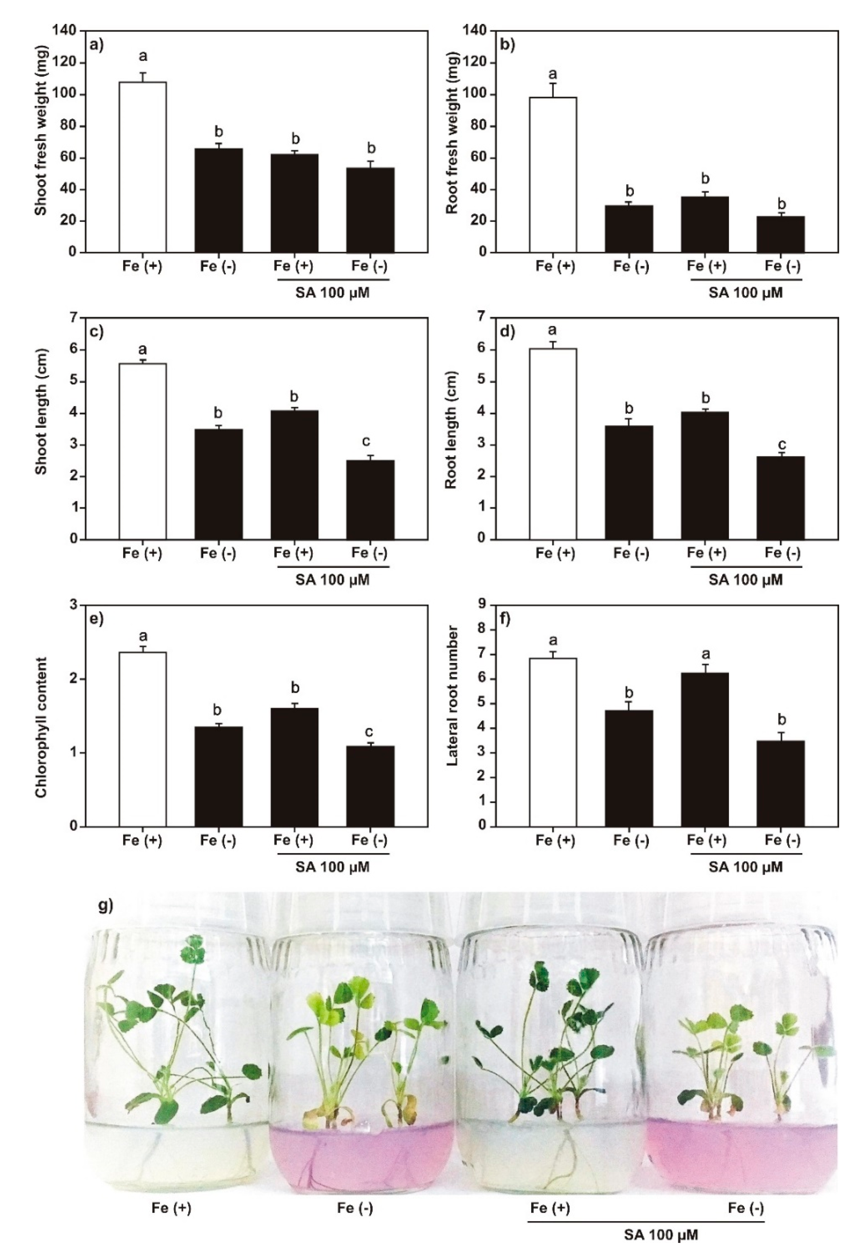 Plants 09 00624 g002