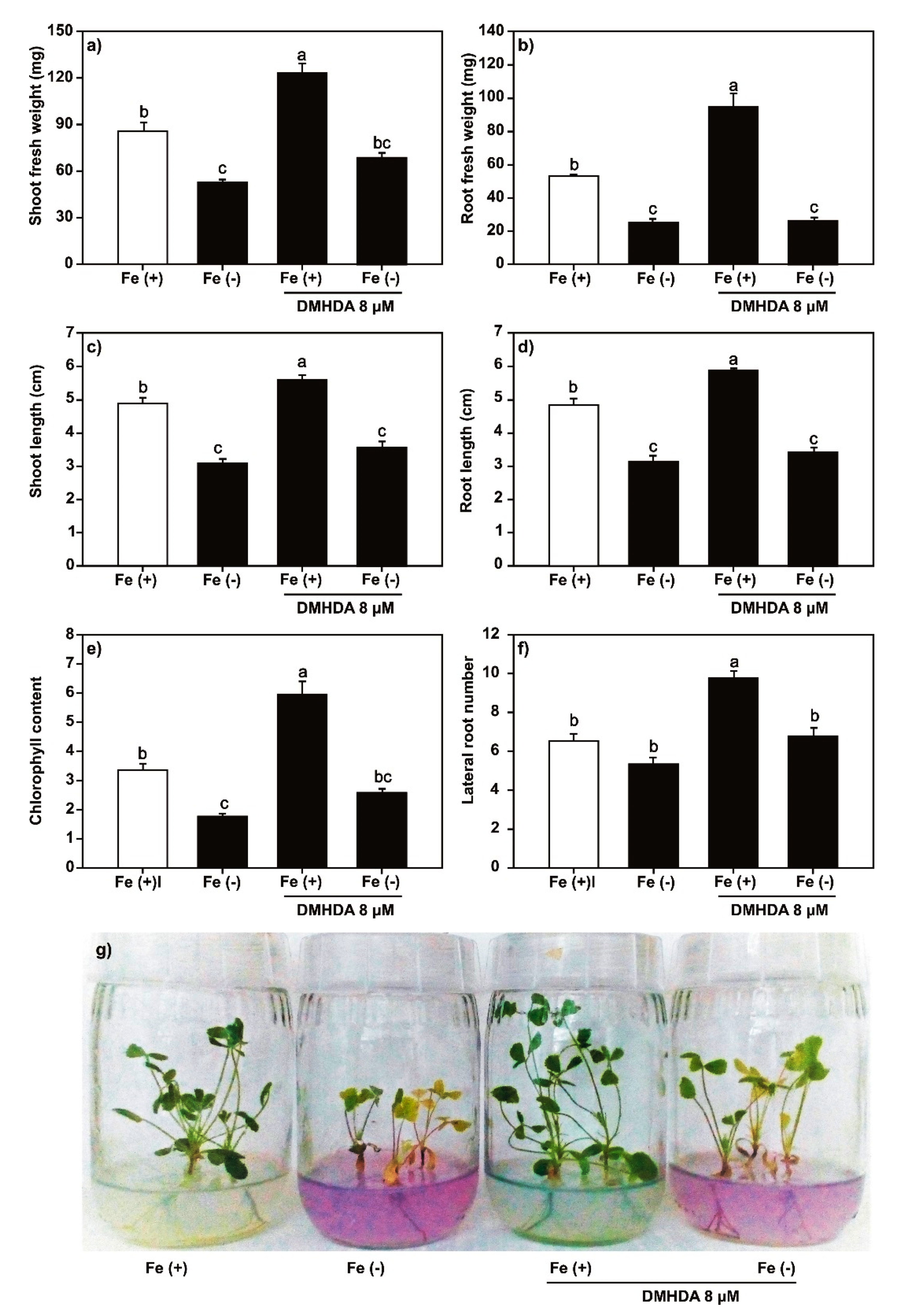 Plants 09 00624 g004