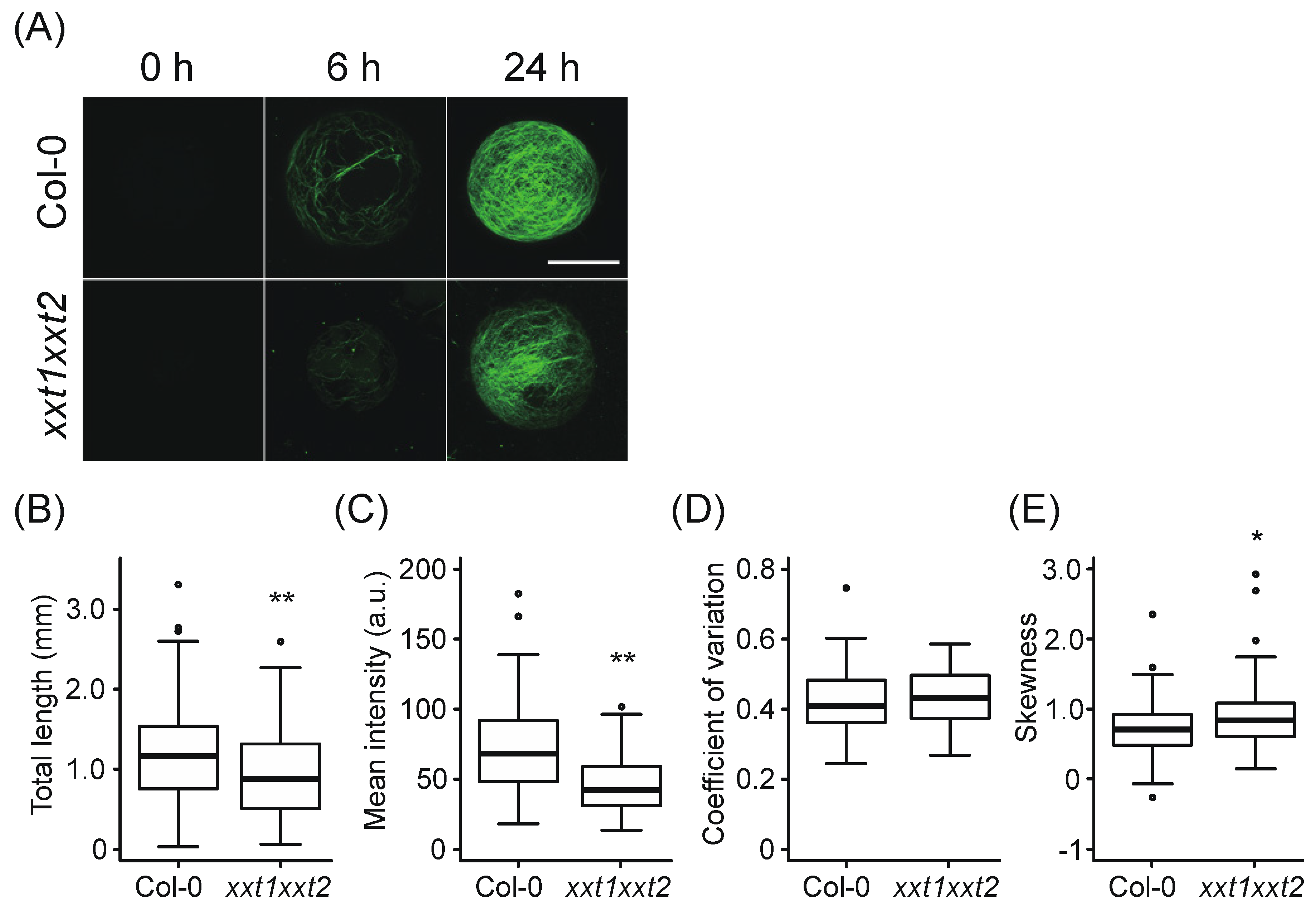 Plants 09 00629 g001