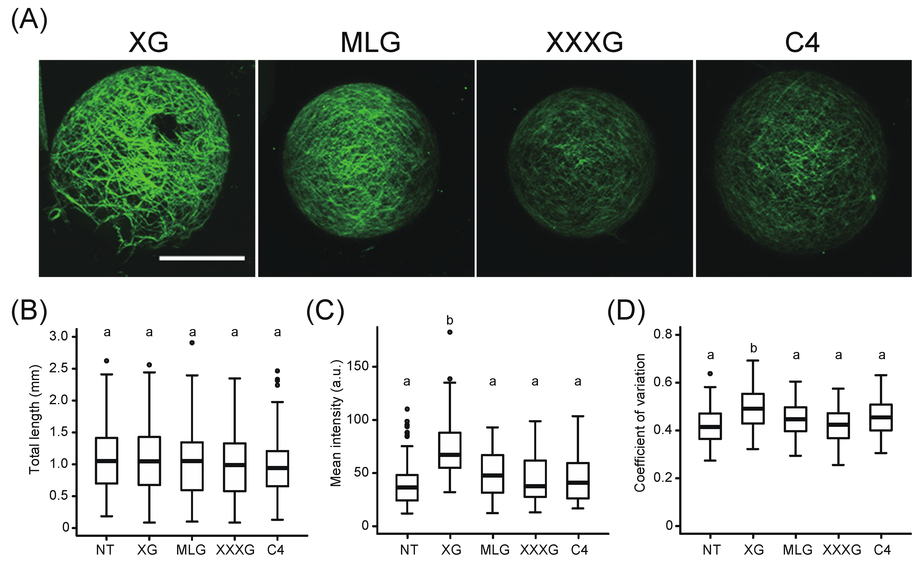 Plants 09 00629 g002