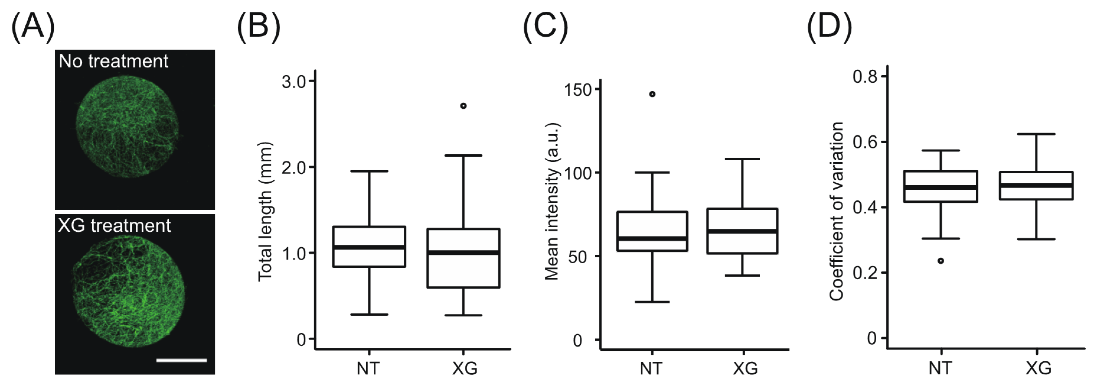 Plants 09 00629 g004