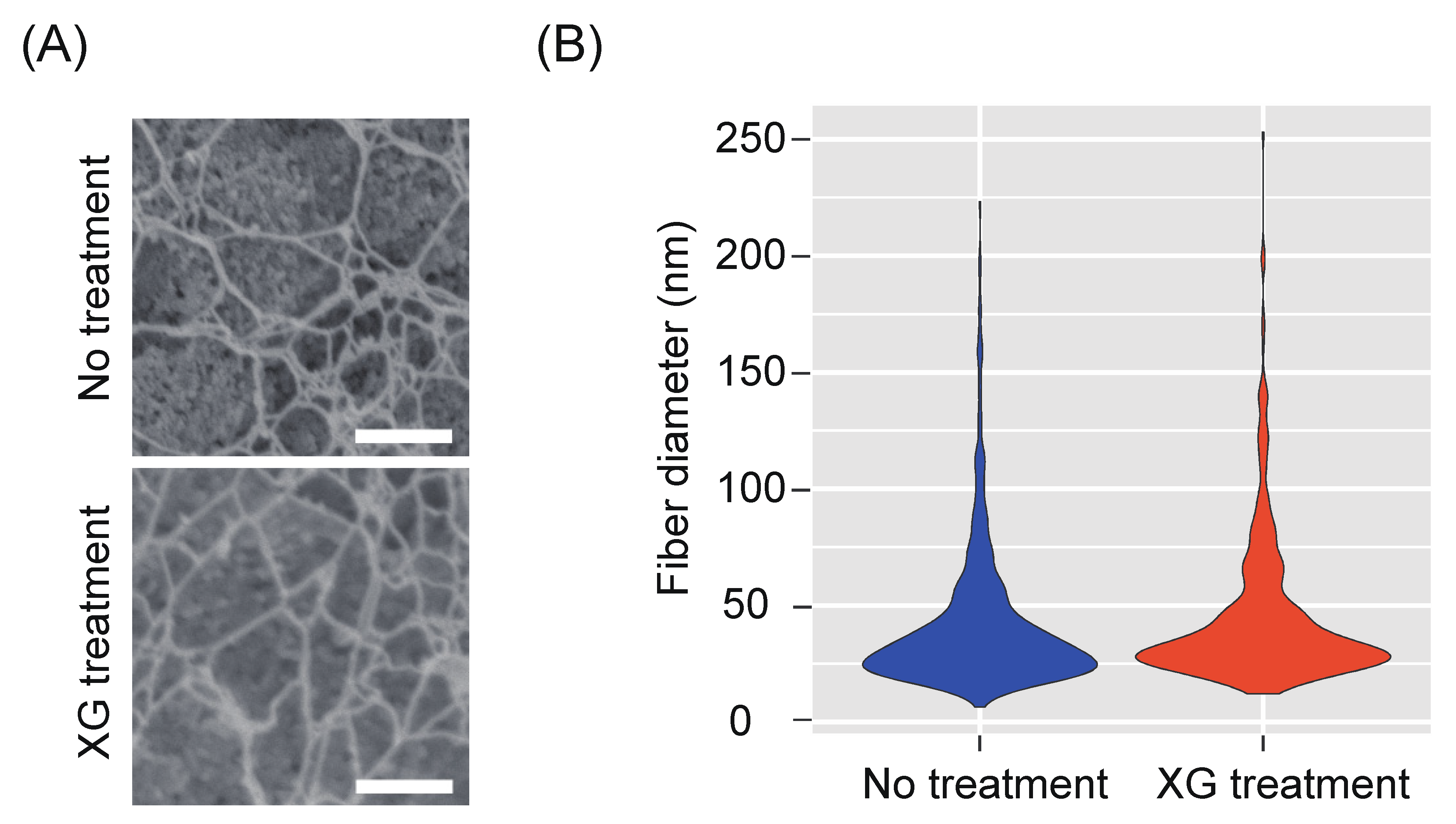 Plants 09 00629 g005