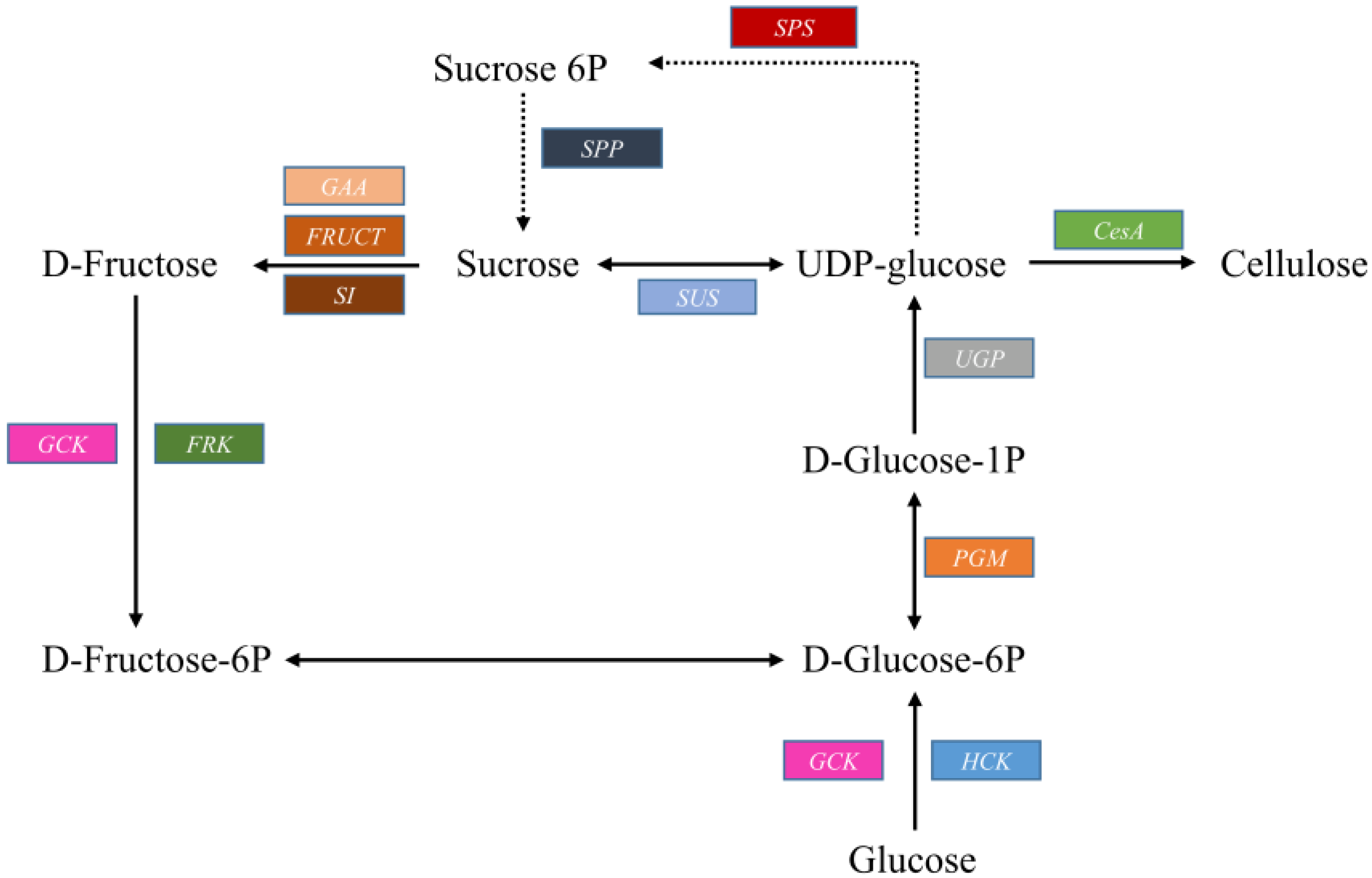 Plants 09 00631 g005 Plants 09 00631 g005