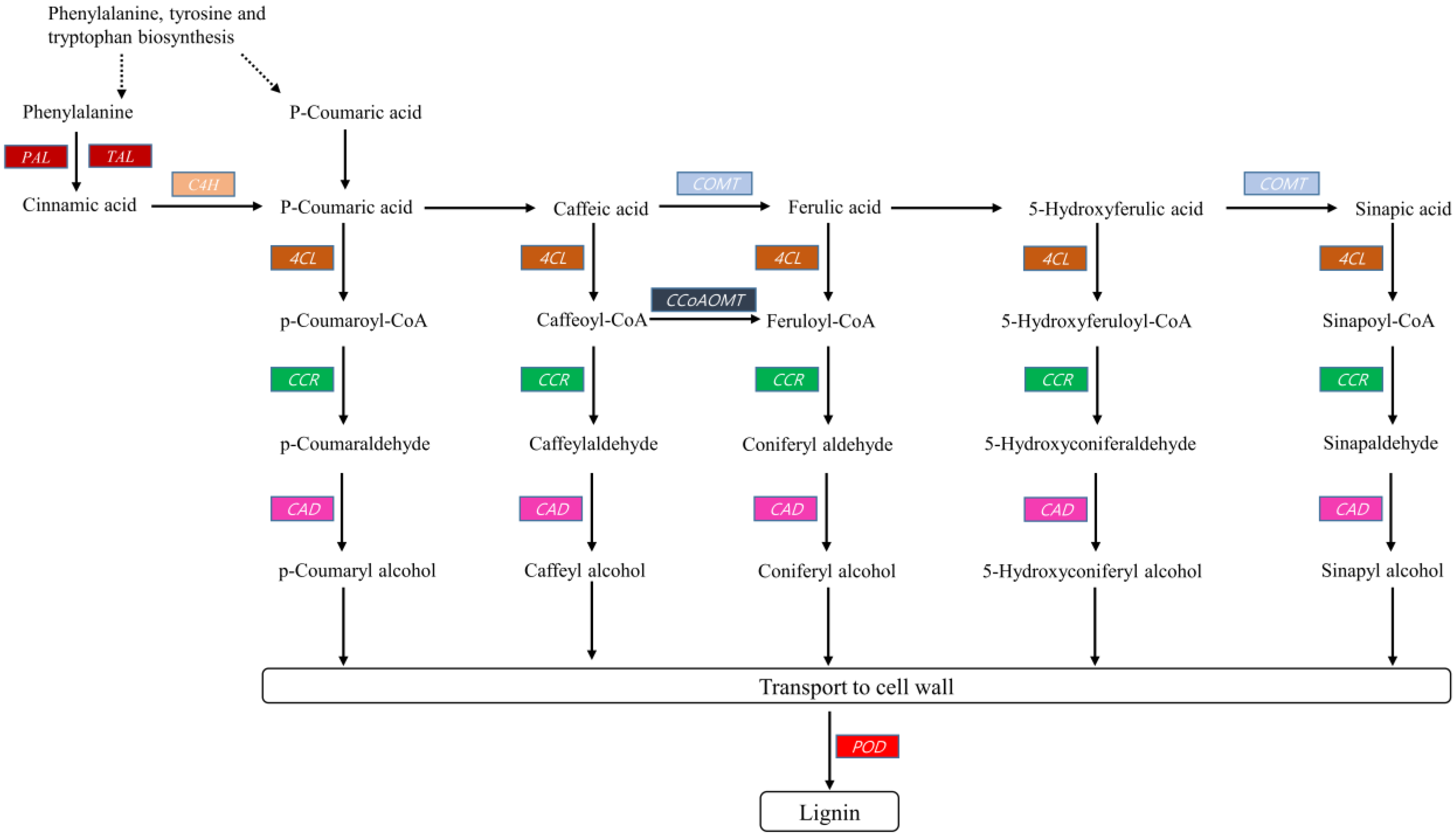 Plants 09 00631 g006 Plants 09 00631 g006