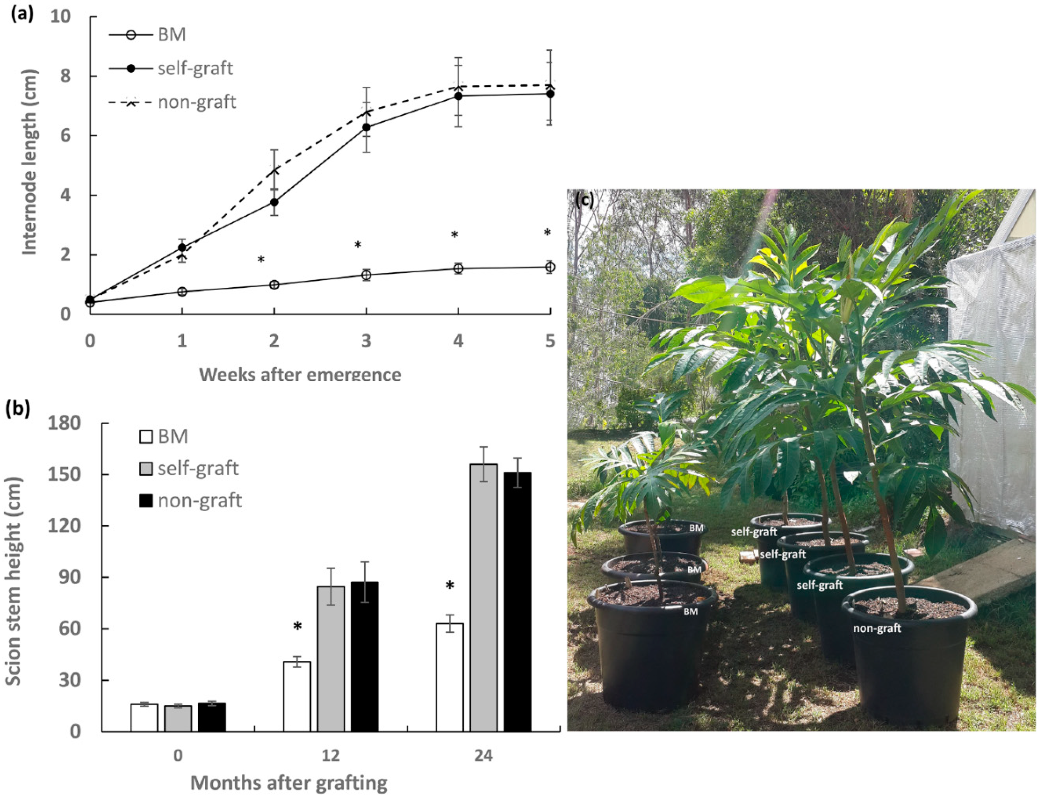 Plants 09 00634 g001 Plants 09 00634 g001