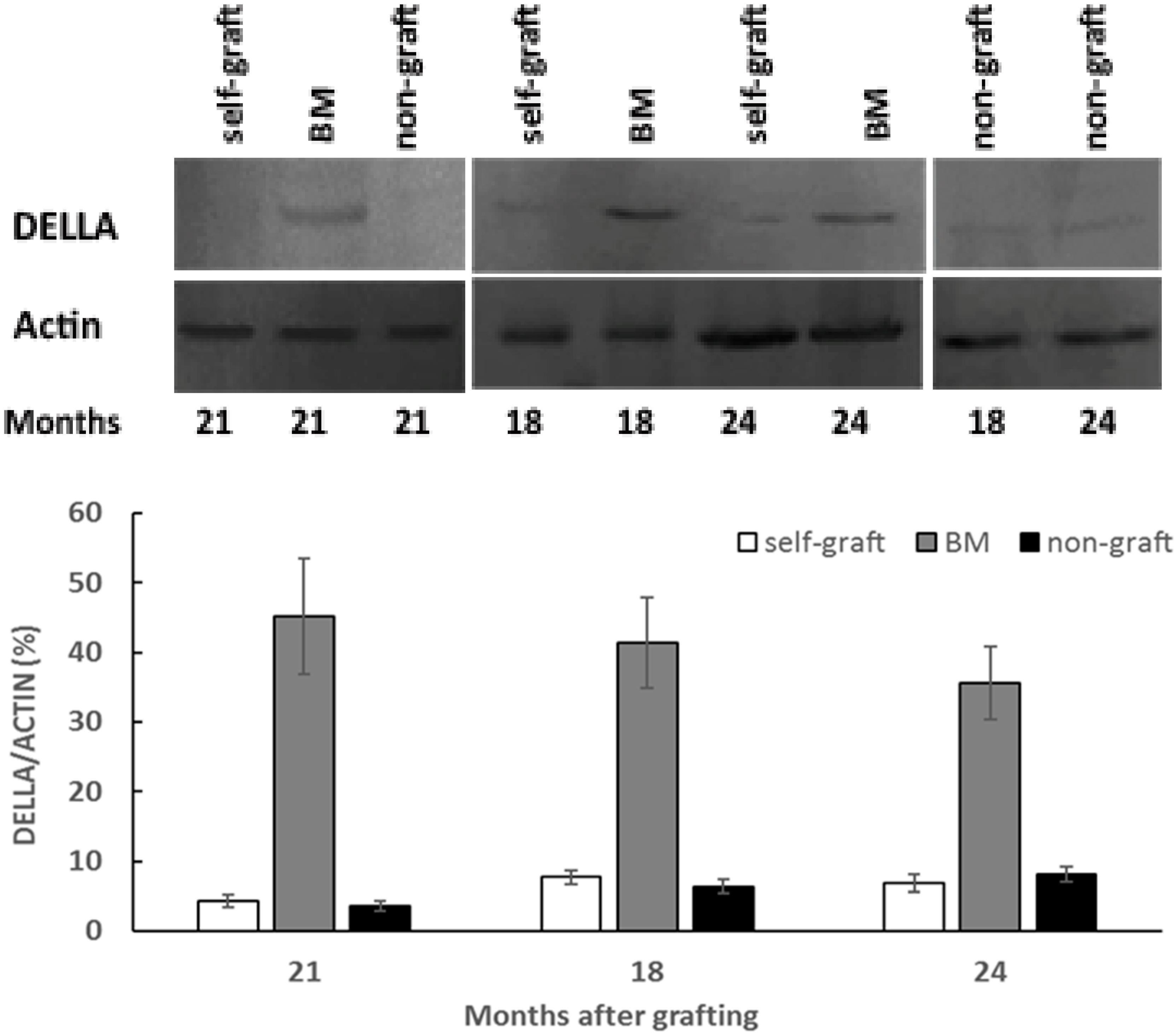 Plants 09 00634 g003 Plants 09 00634 g003