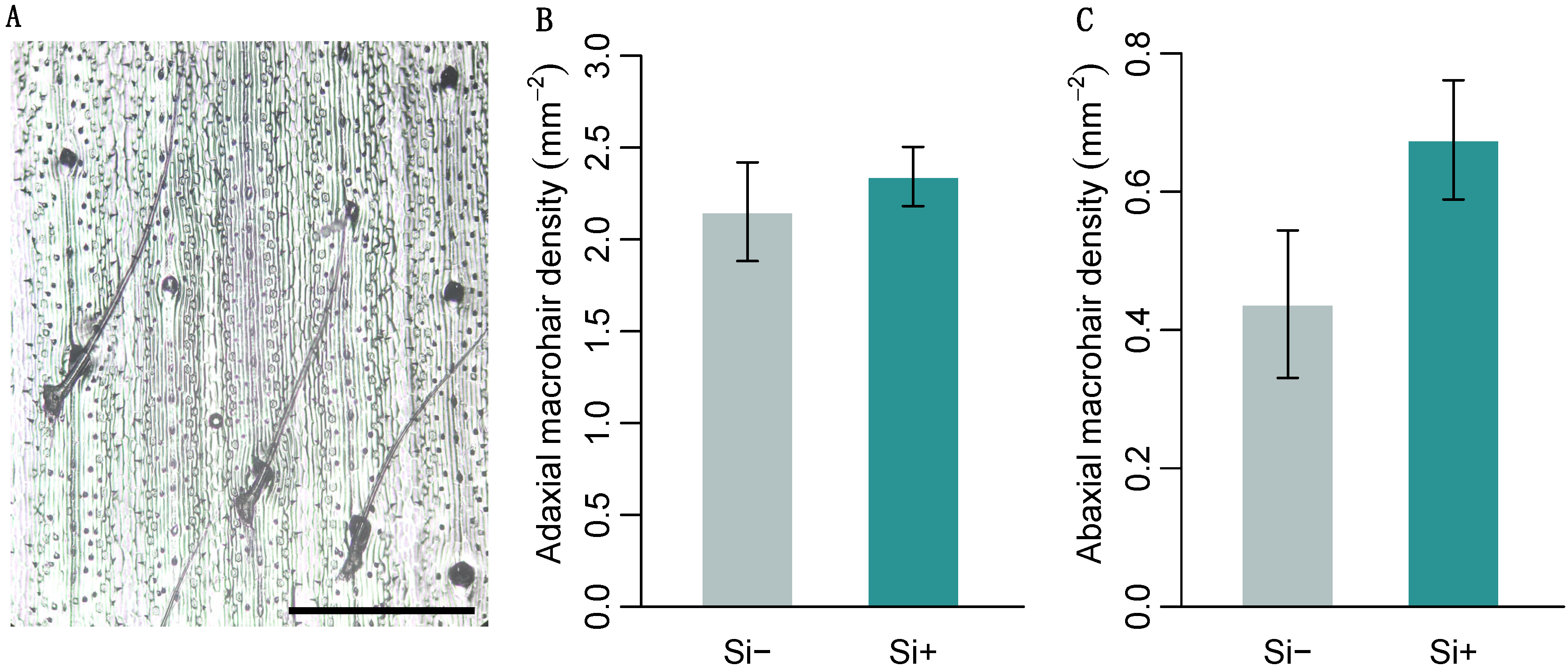 Plants 09 00643 g002