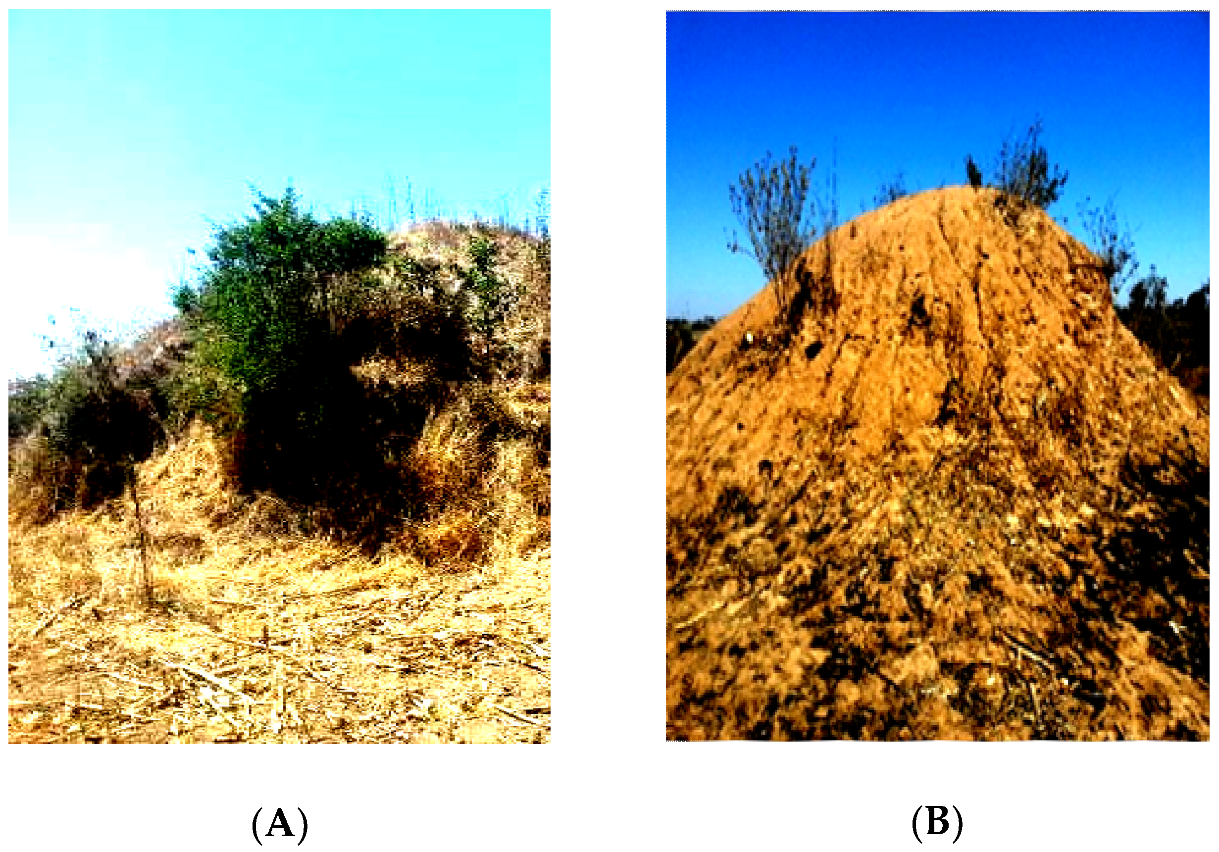 Plants 09 00649 g003 Plants 09 00649 g003