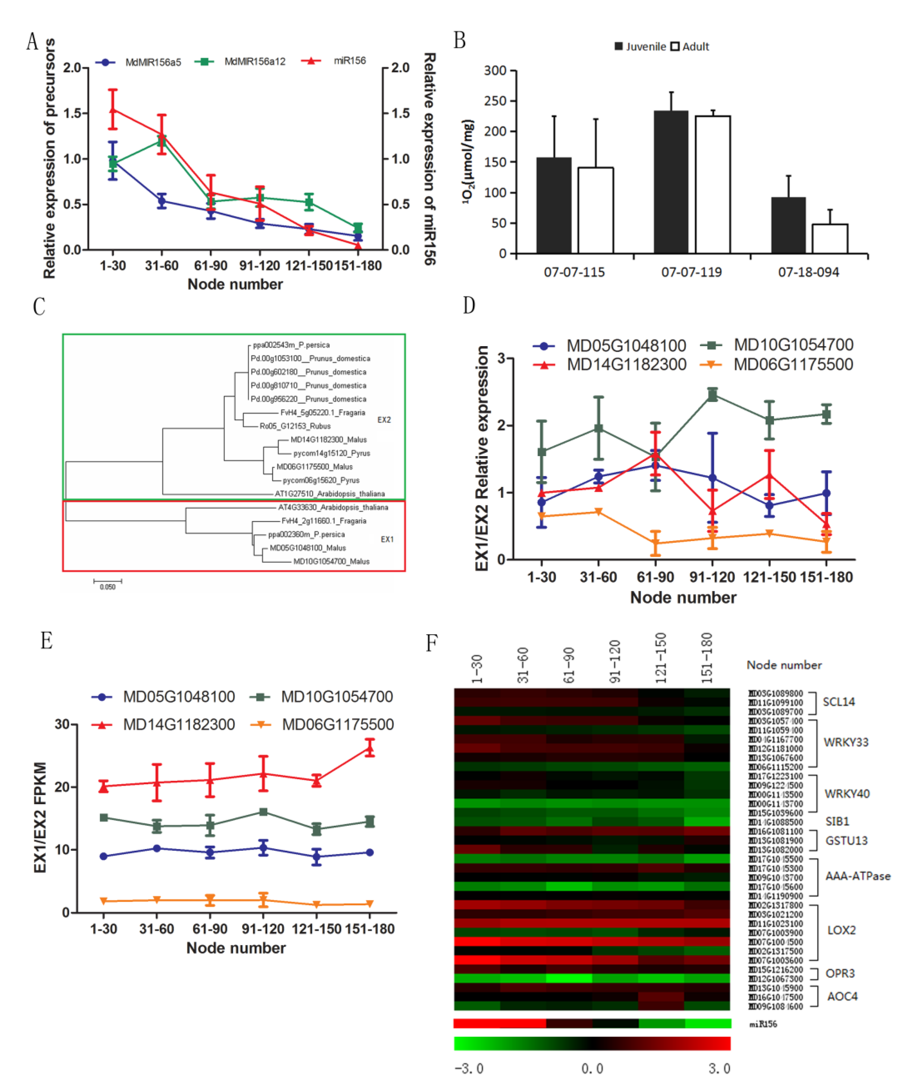 Plants 09 00653 g004 Plants 09 00653 g004
