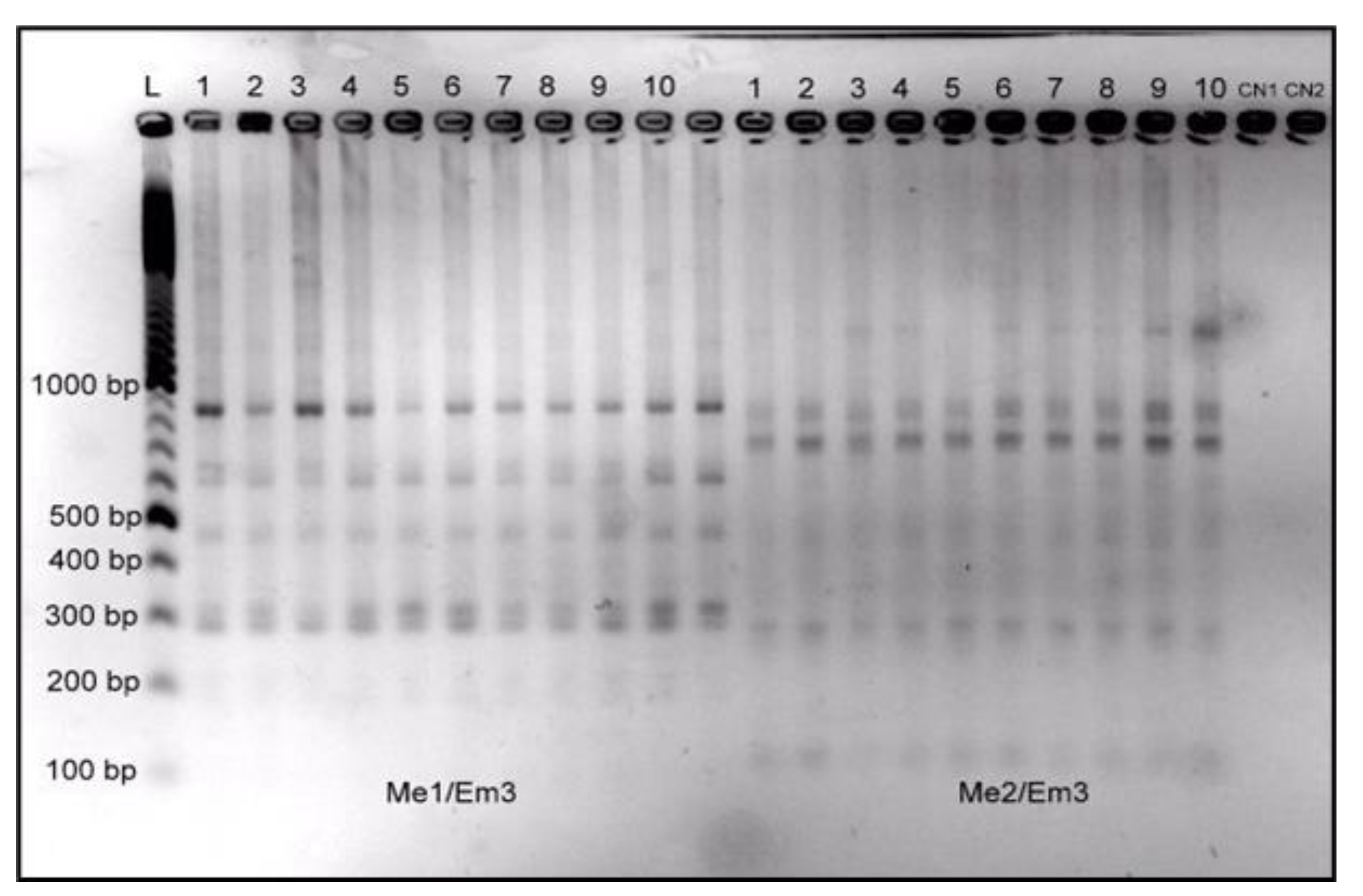 Plants 09 00656 g002