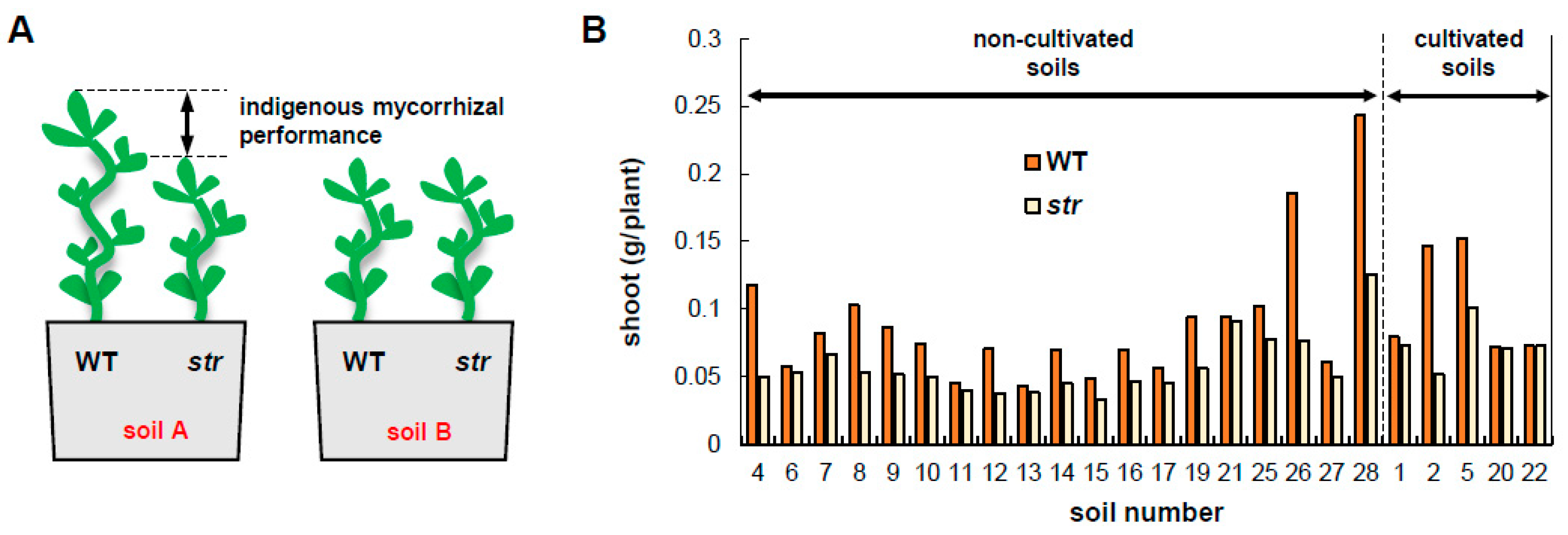 Plants 09 00658 g001
