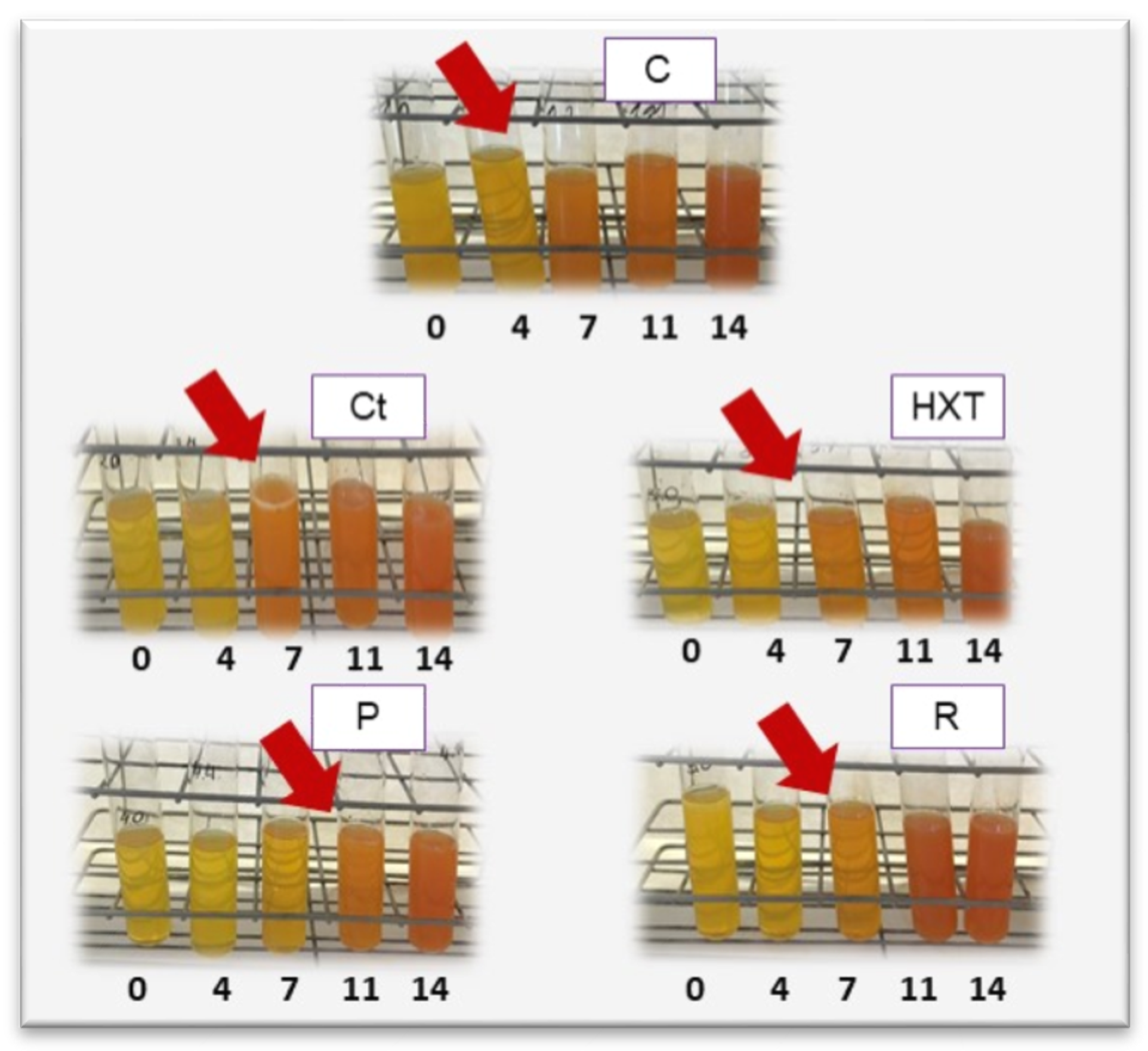Plants 09 00659 g002