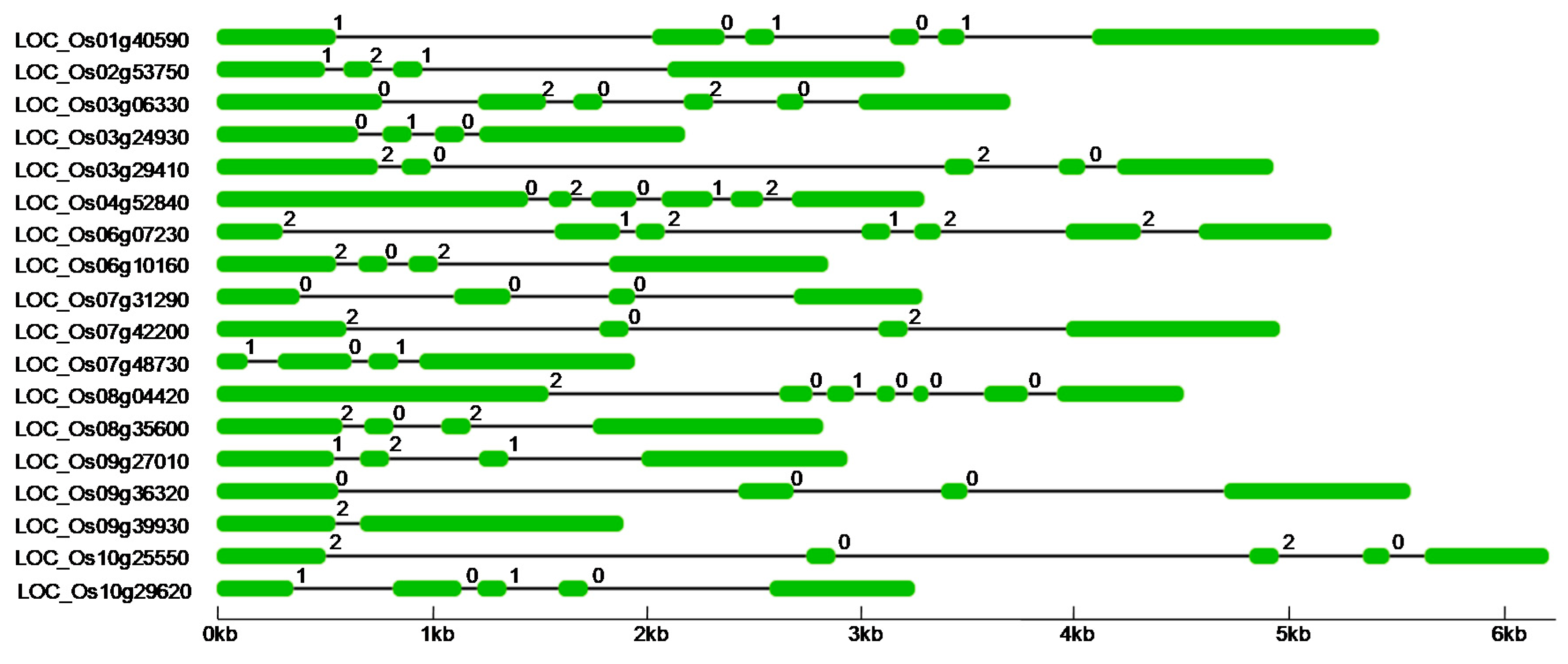 Plants 09 00664 g003