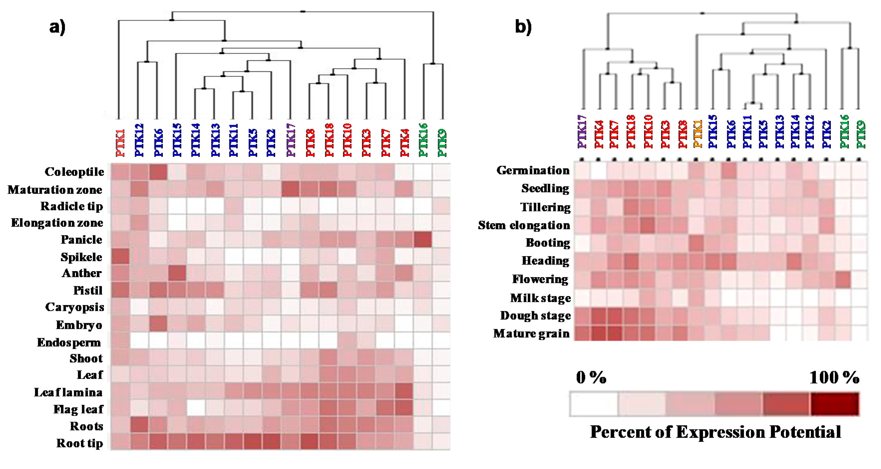 Plants 09 00664 g005