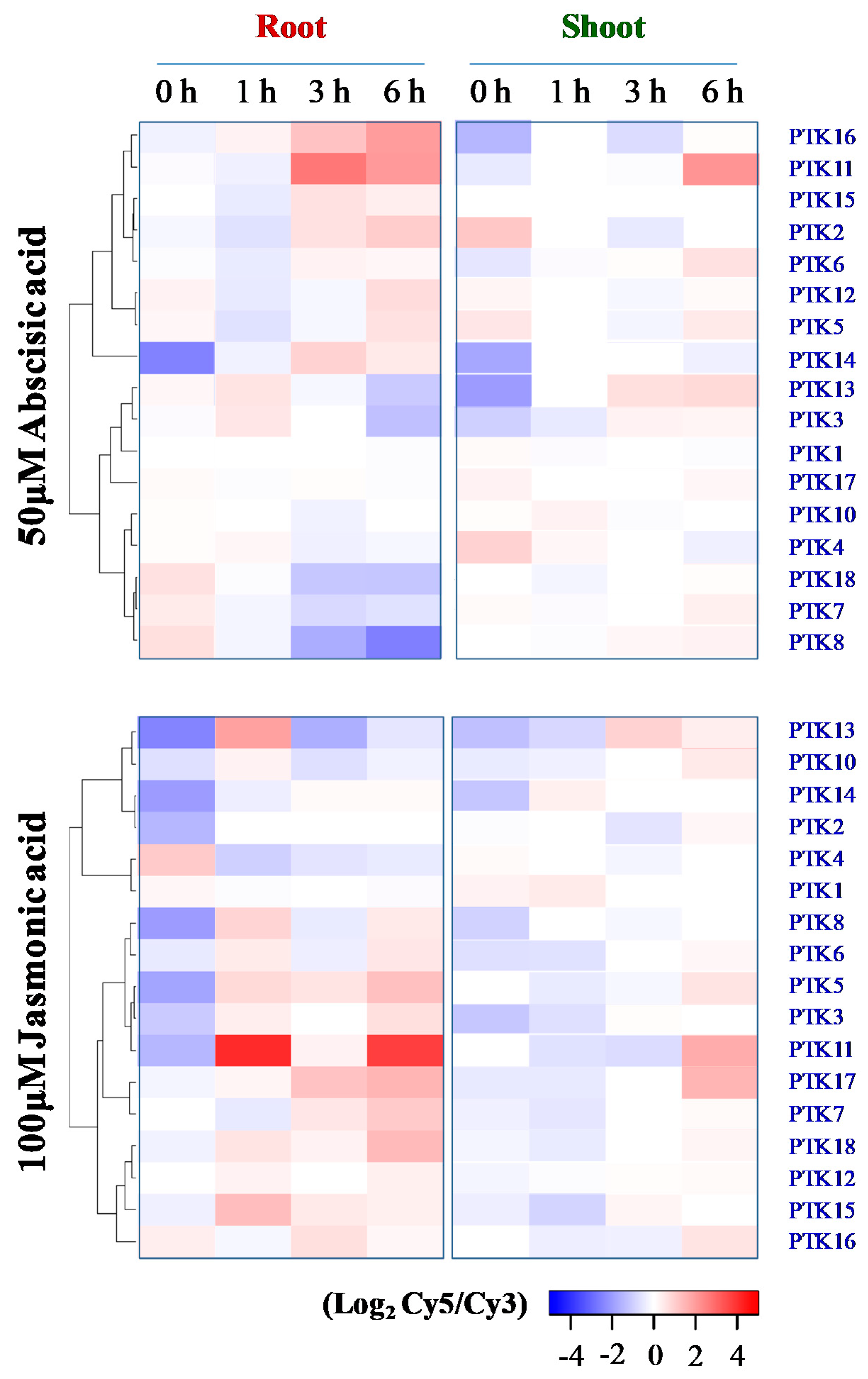Plants 09 00664 g008