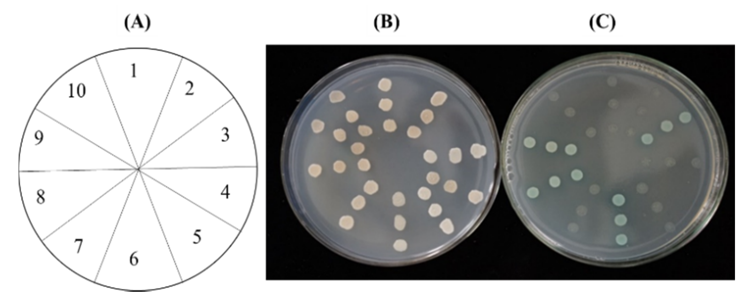 Plants 09 00666 g005
